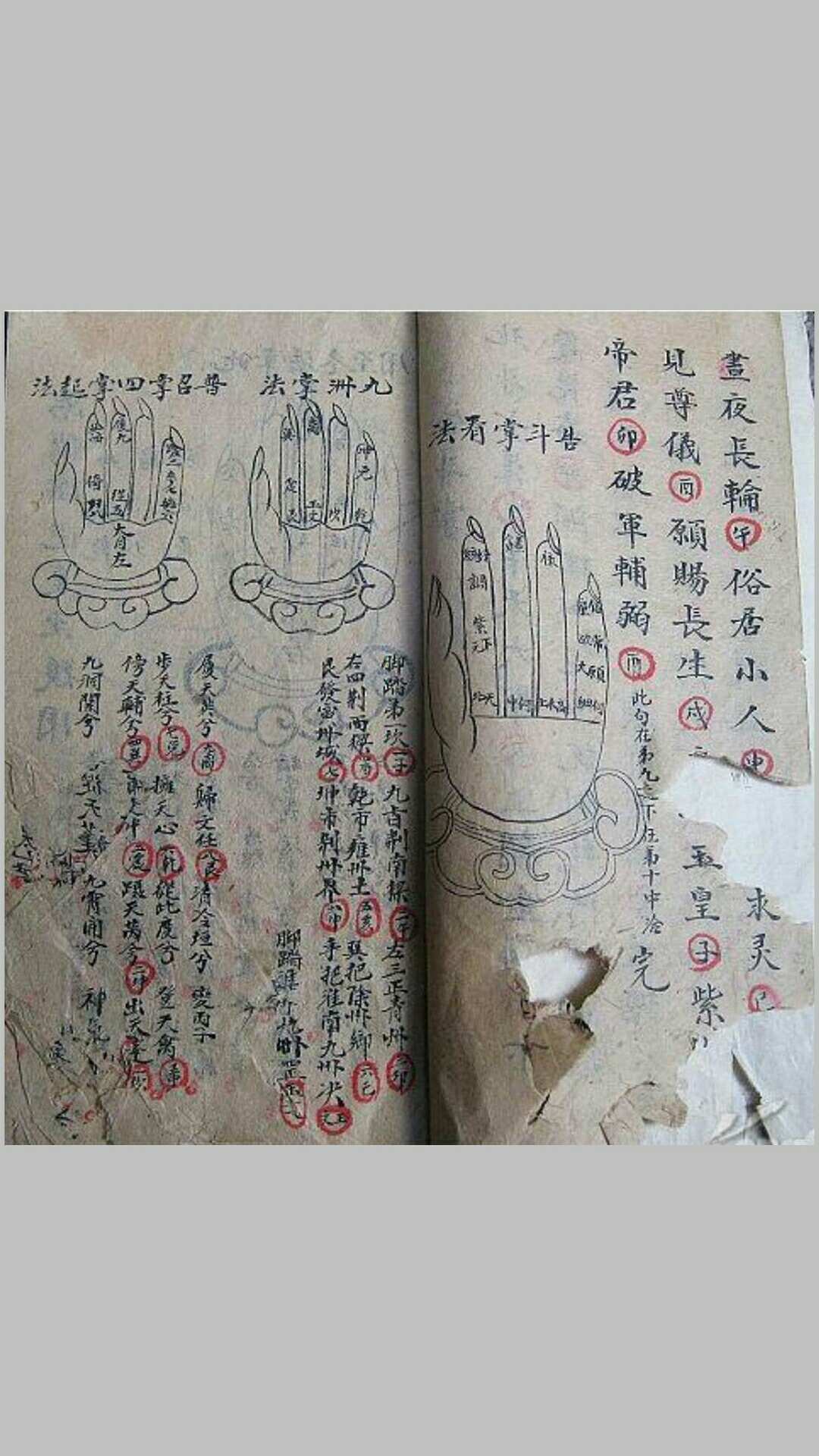 图片[2]-中华古籍网-专注古书收集道教掌诀手抄本-中华古籍网-专注古书收集中华古籍网-专注古书收集
