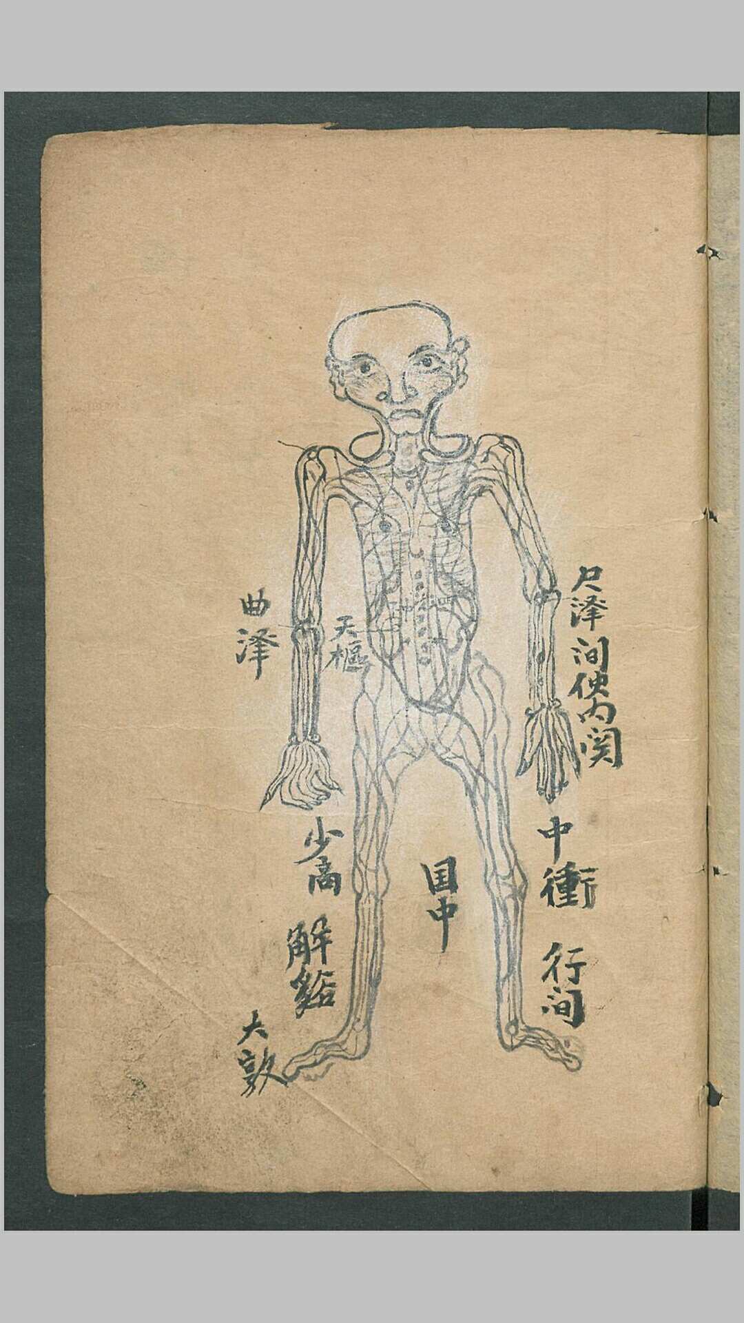 图片[7]-中华古籍网-专注古书收集放痧针诀-中华古籍网-专注古书收集中华古籍网-专注古书收集