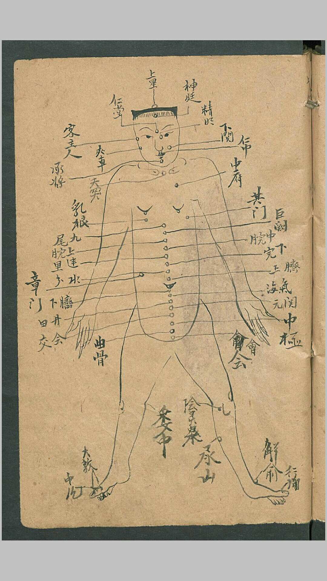 图片[8]-中华古籍网-专注古书收集放痧针诀-中华古籍网-专注古书收集中华古籍网-专注古书收集