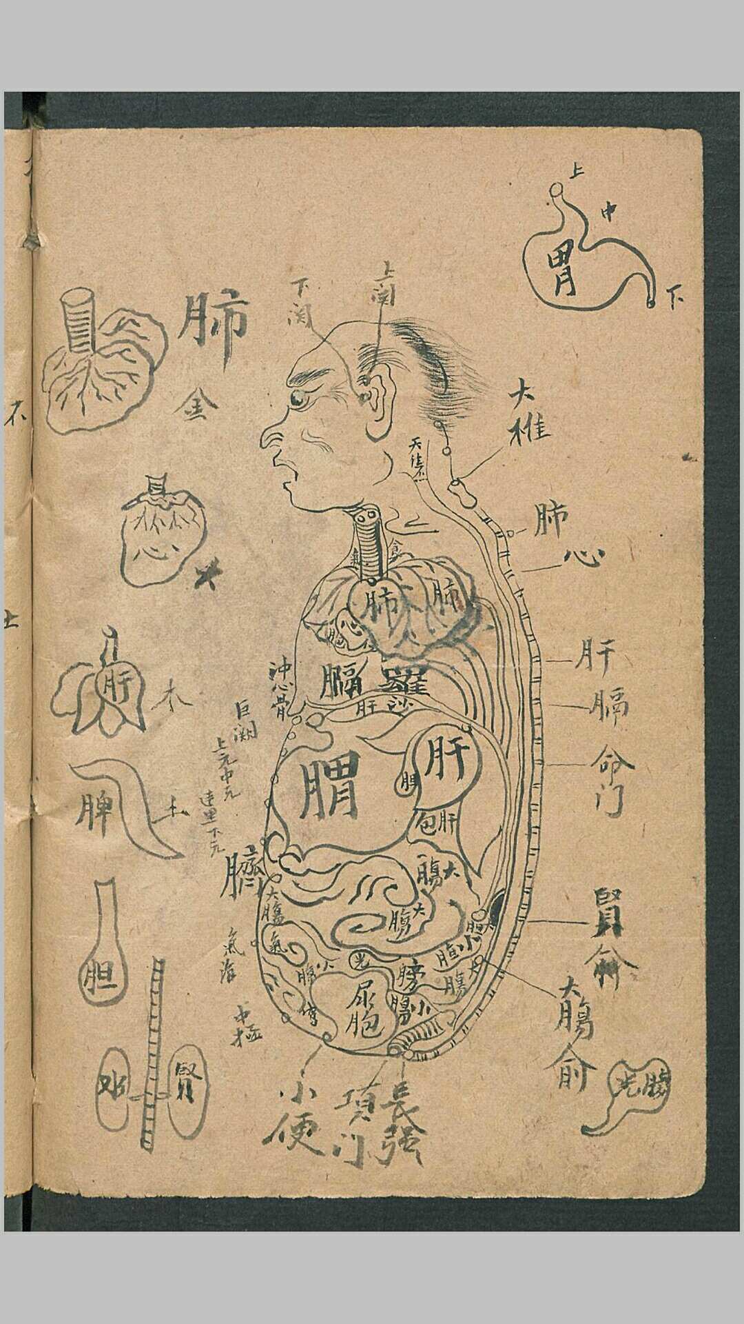 图片[10]-中华古籍网-专注古书收集放痧针诀-中华古籍网-专注古书收集中华古籍网-专注古书收集