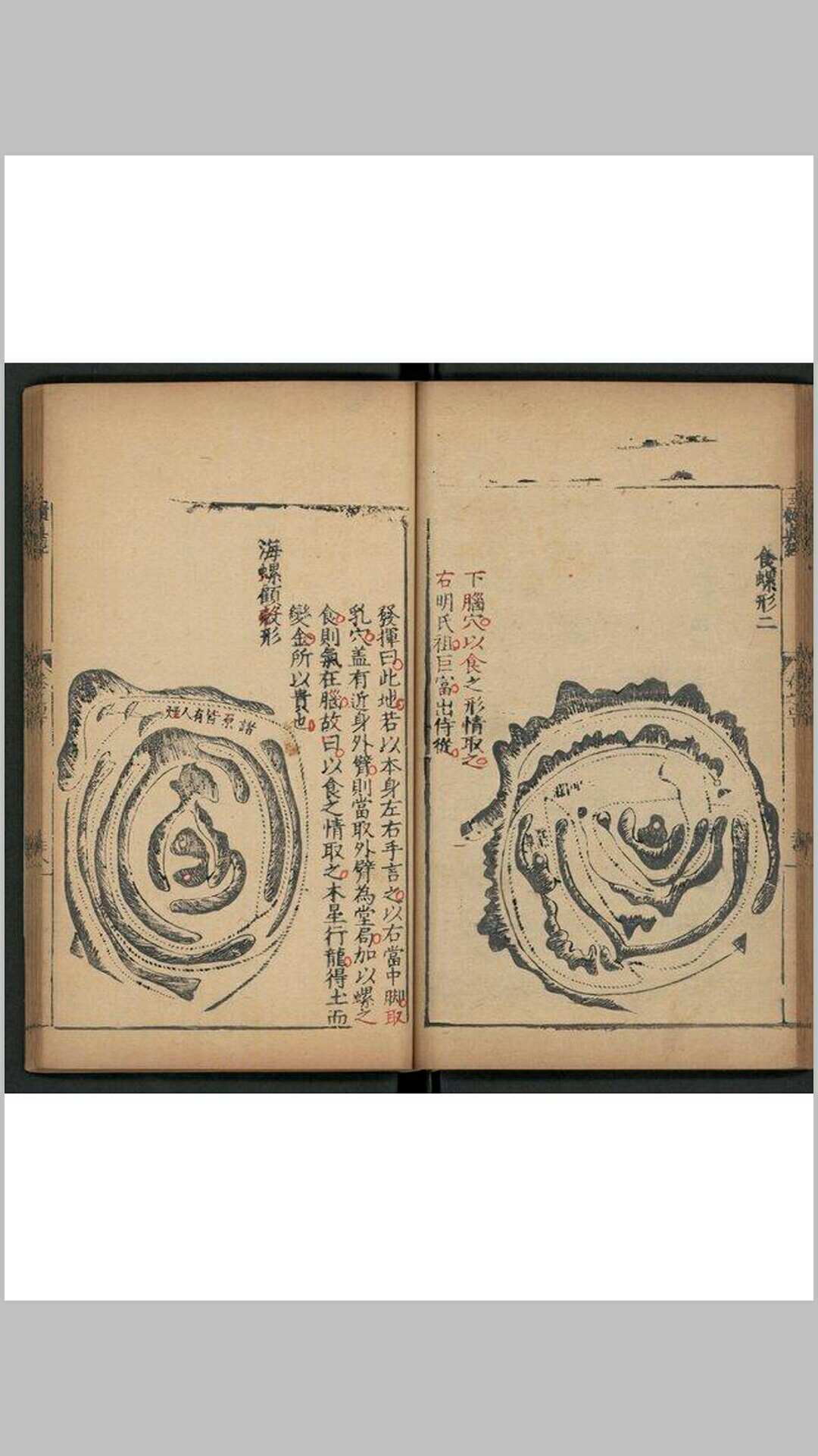 图片[10]-中华古籍网-专注古书收集玉髓真经(宋)张洞玄撰明嘉靖二十九年 福州府刊本-中华古籍网-专注古书收集中华古籍网-专注古书收集