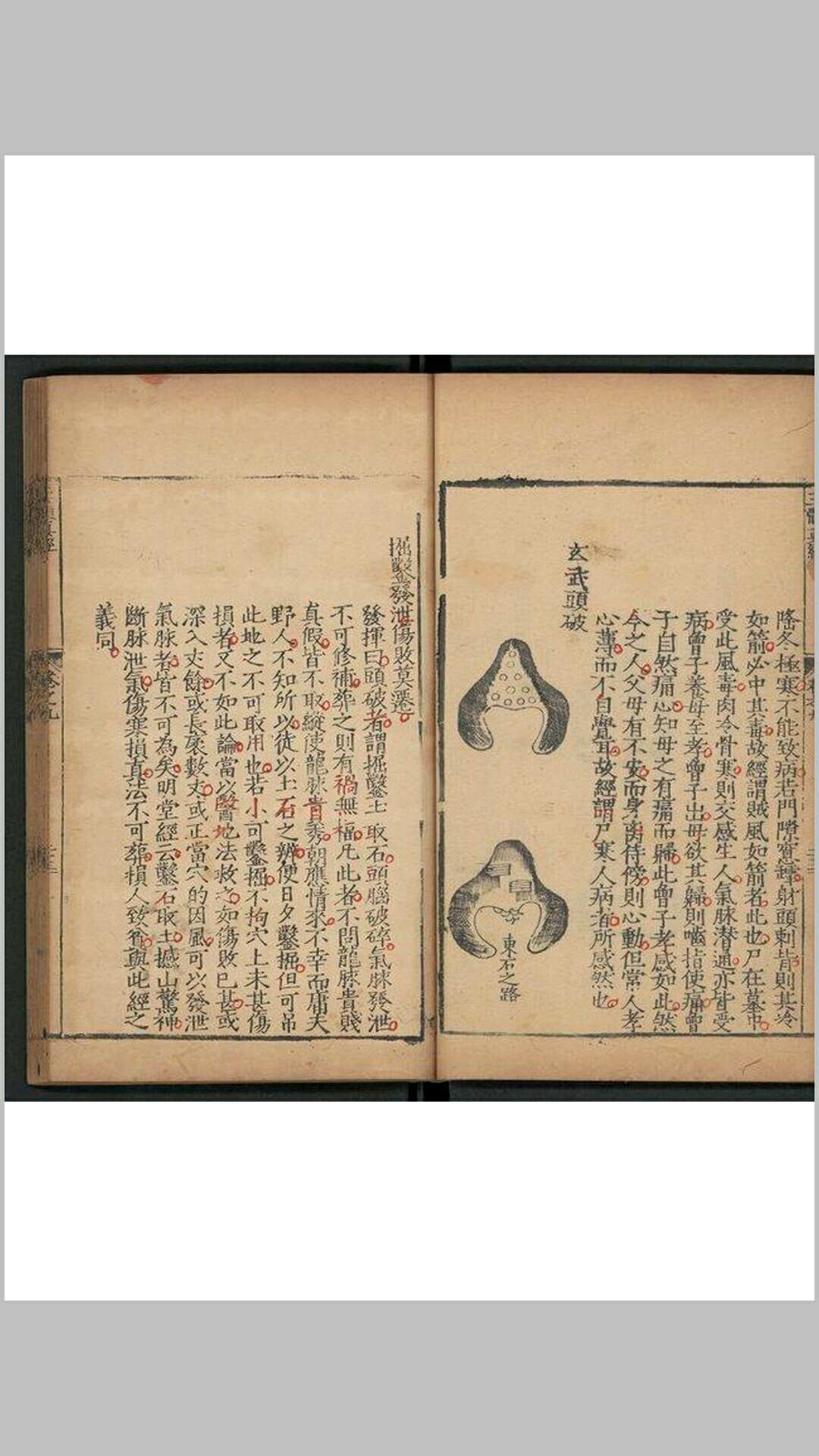 图片[12]-中华古籍网-专注古书收集玉髓真经(宋)张洞玄撰明嘉靖二十九年 福州府刊本-中华古籍网-专注古书收集中华古籍网-专注古书收集