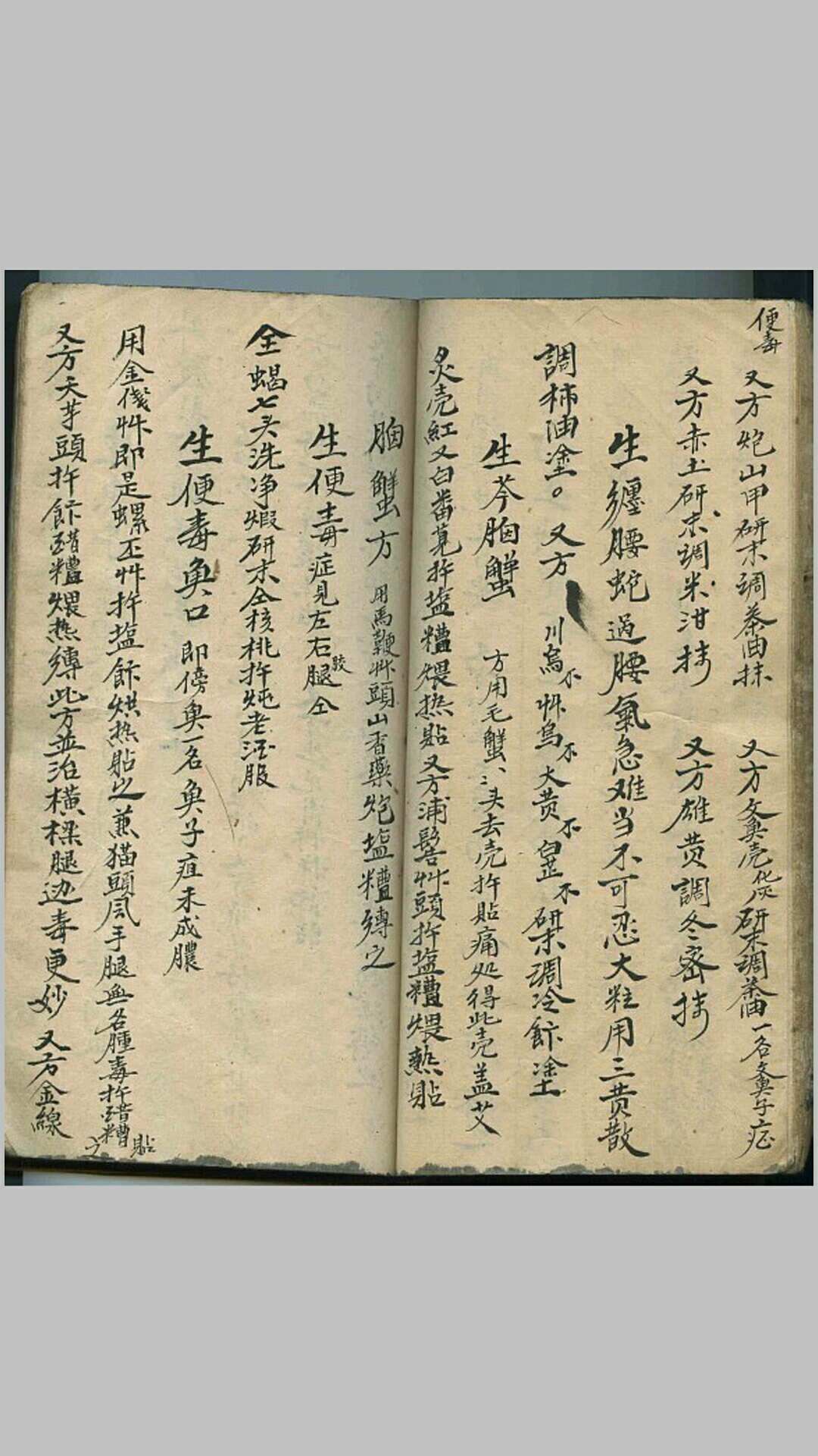 图片[6]-中华古籍网-专注古书收集民间草医（手抄本）-中华古籍网-专注古书收集中华古籍网-专注古书收集