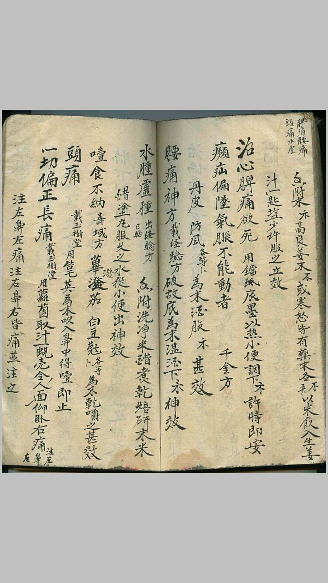 图片[8]-中华古籍网-专注古书收集民间草医（手抄本）-中华古籍网-专注古书收集中华古籍网-专注古书收集