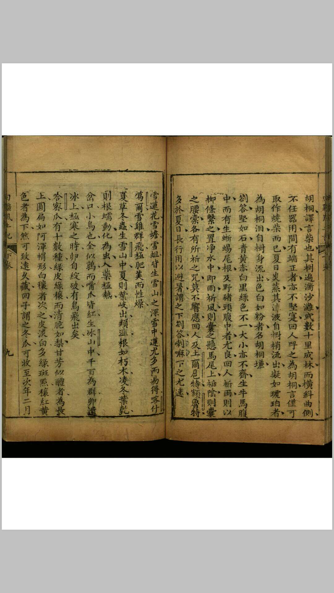 图片[5]-中华古籍网-专注古书收集新疆纪略  六种四卷-中华古籍网-专注古书收集中华古籍网-专注古书收集