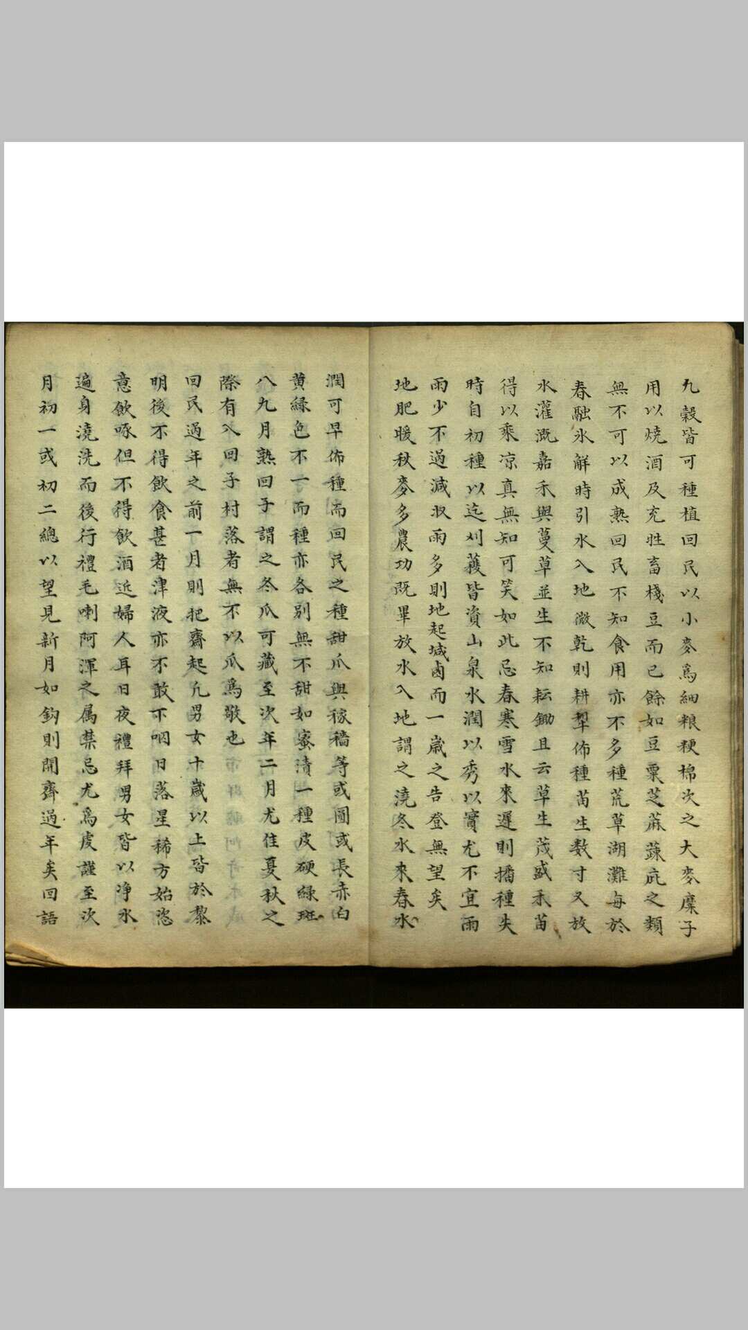 图片[5]-中华古籍网-专注古书收集异域琐谈  四卷-中华古籍网-专注古书收集中华古籍网-专注古书收集