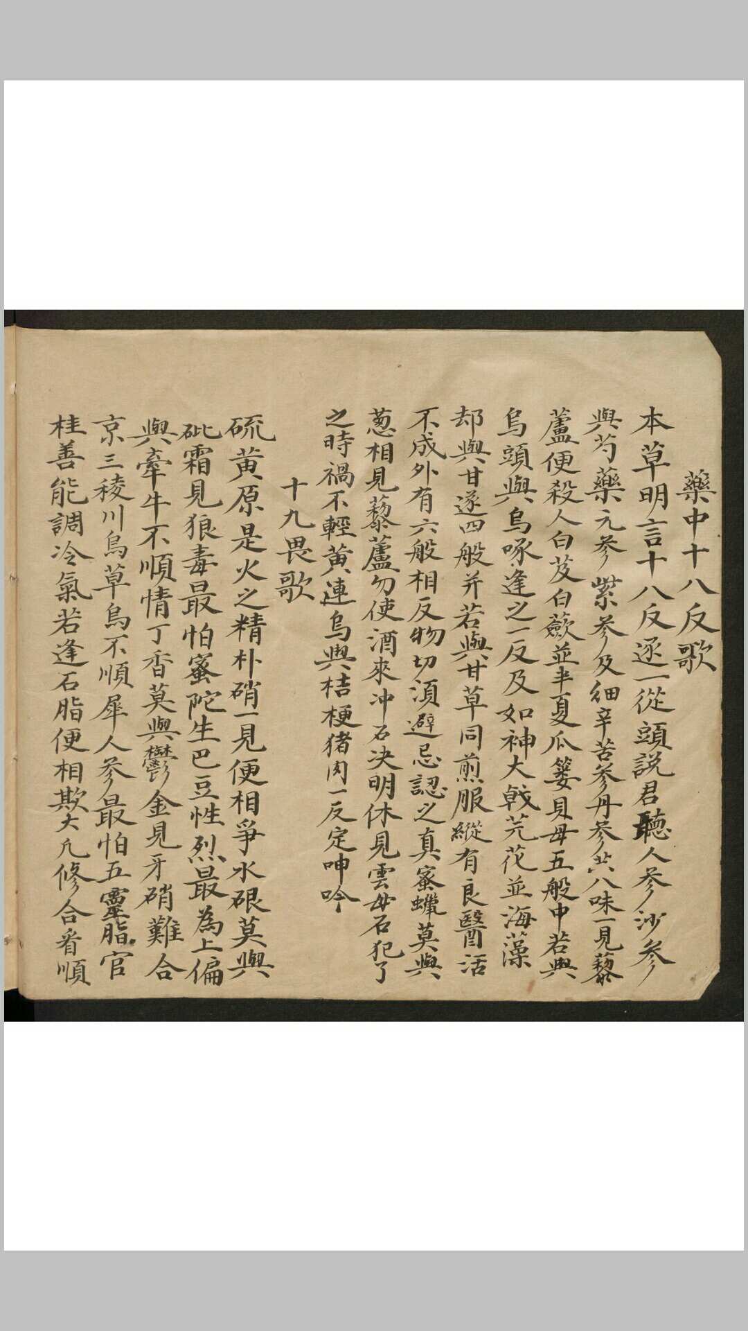 图片[2]-中华古籍网-专注古书收集医方杂录-中华古籍网-专注古书收集中华古籍网-专注古书收集