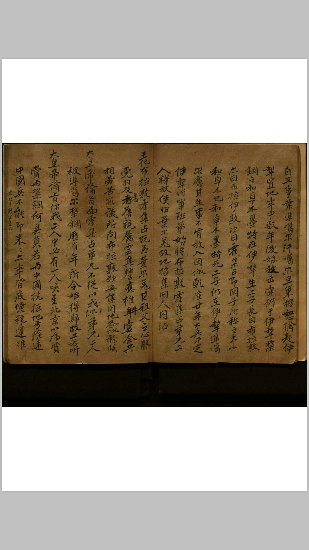 图片[5]-中华古籍网-专注古书收集西域琐谈  不分卷-中华古籍网-专注古书收集中华古籍网-专注古书收集