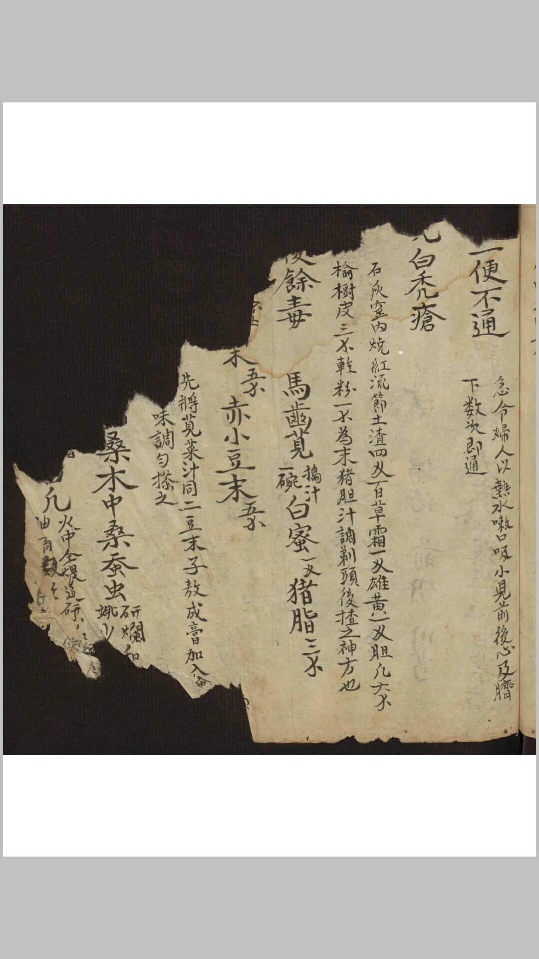 图片[11]-中华古籍网-专注古书收集集验良方-中华古籍网-专注古书收集中华古籍网-专注古书收集