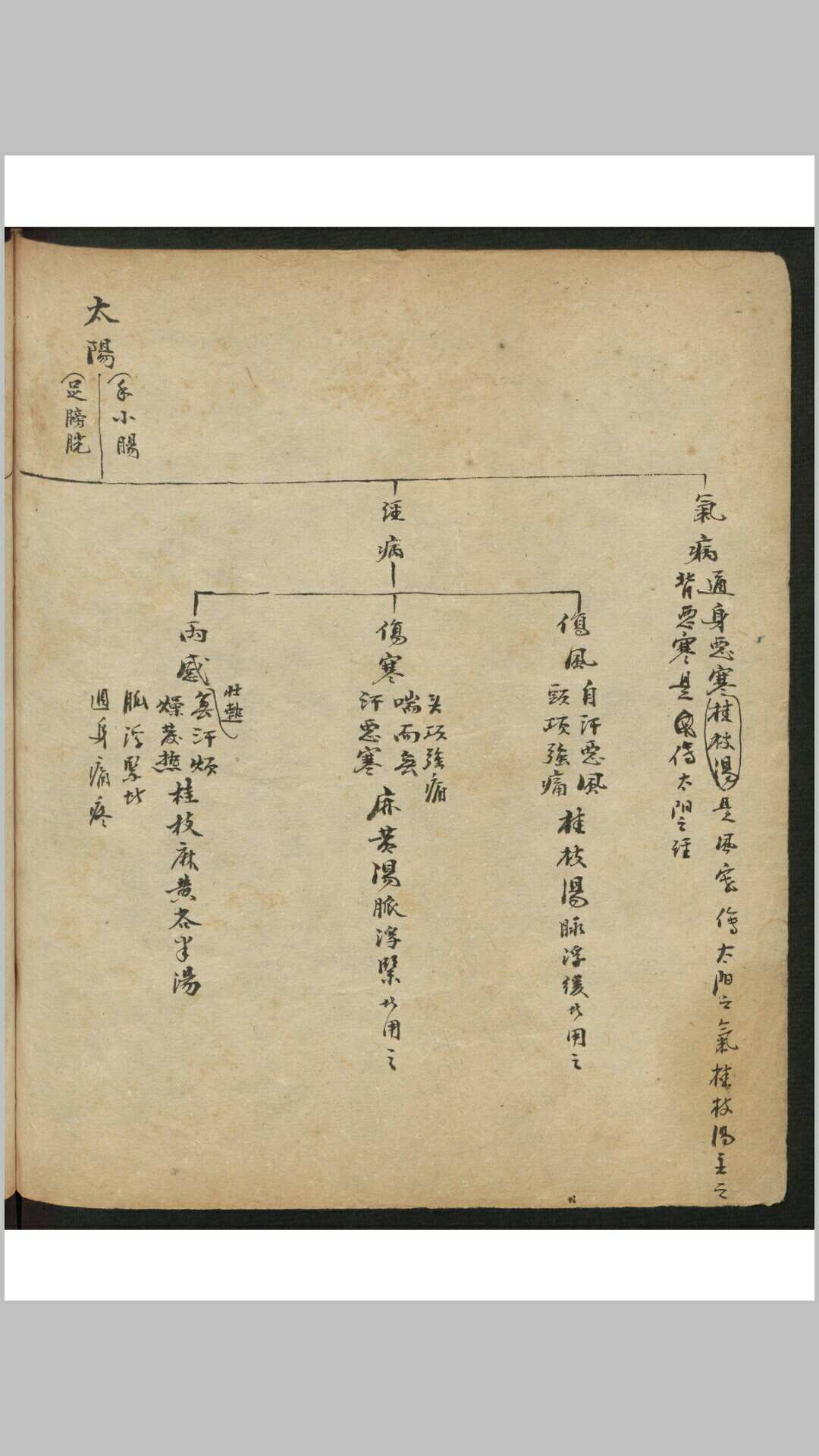 图片[7]-中华古籍网-专注古书收集倪涵初 [验方集] , 1944-中华古籍网-专注古书收集中华古籍网-专注古书收集