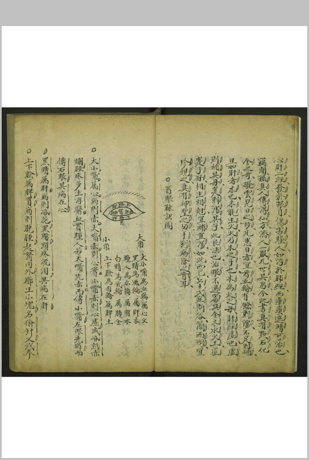 图片[10]-中华古籍网-专注古书收集异授眼科-中华古籍网-专注古书收集中华古籍网-专注古书收集