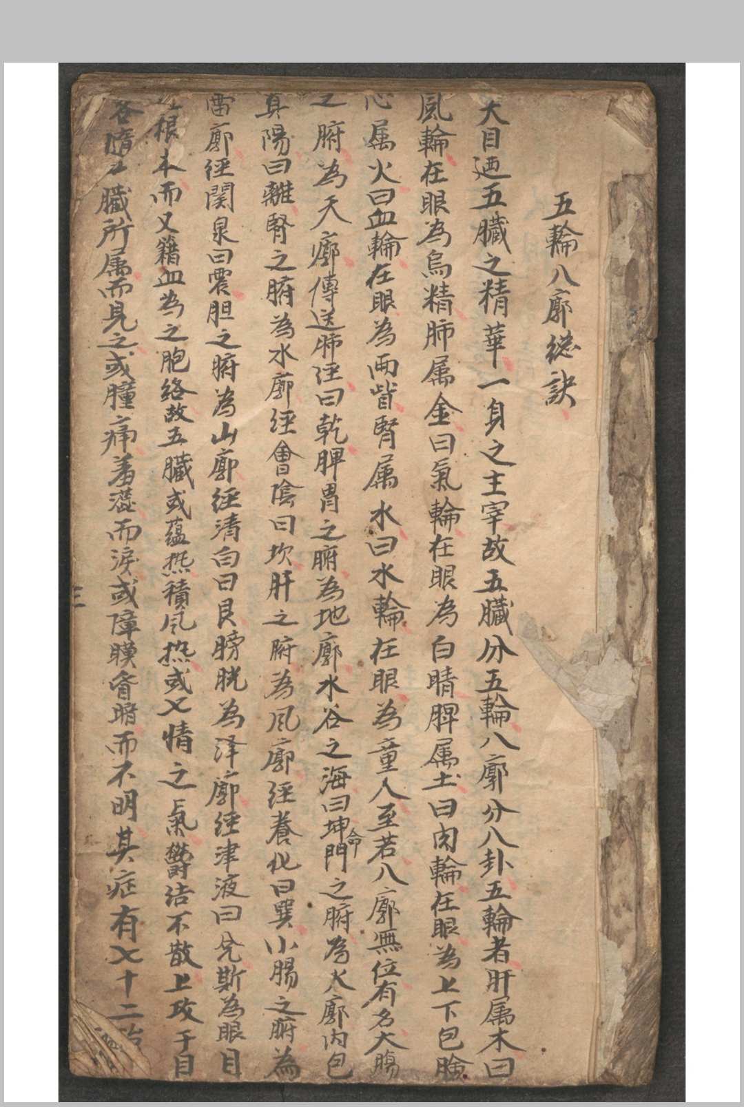 图片[11]-中华古籍网-专注古书收集秘传眼科髓-中华古籍网-专注古书收集中华古籍网-专注古书收集