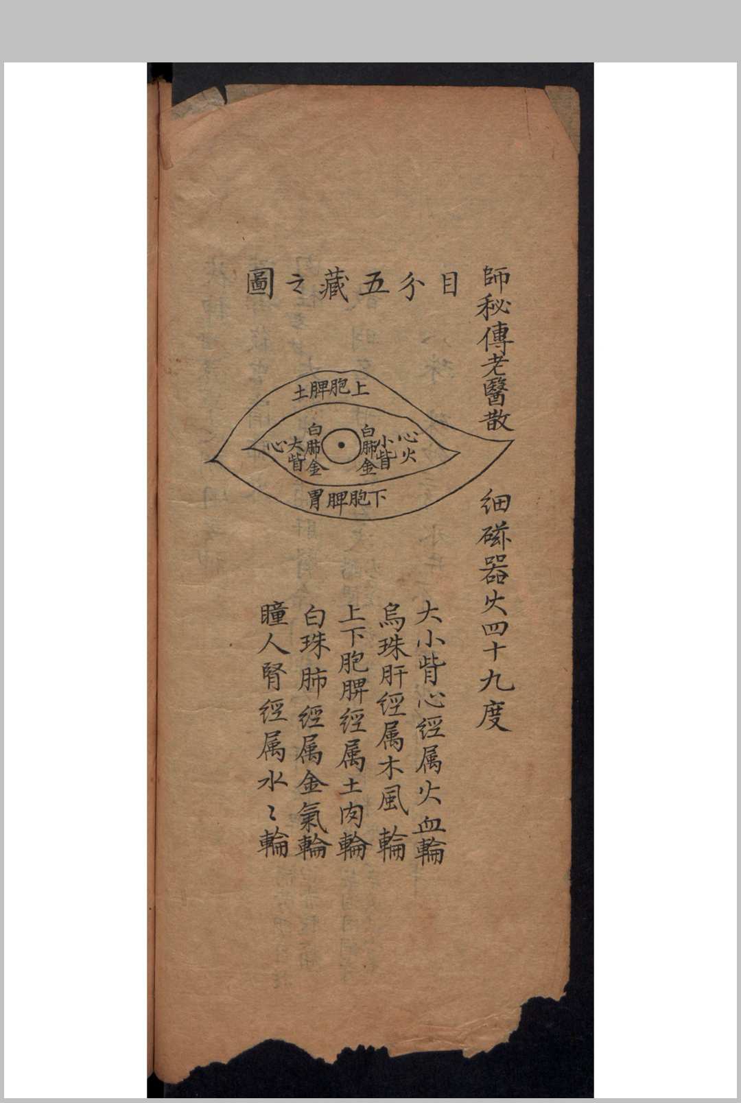 图片[5]-中华古籍网-专注古书收集黄汇阳 眼科视证要略-中华古籍网-专注古书收集中华古籍网-专注古书收集