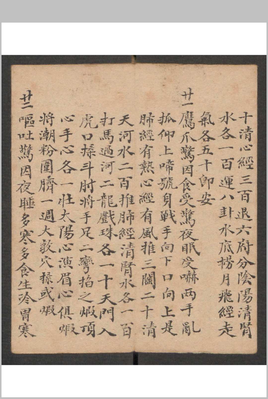 图片[17]-中华古籍网-专注古书收集小儿科 , 1895-中华古籍网-专注古书收集中华古籍网-专注古书收集