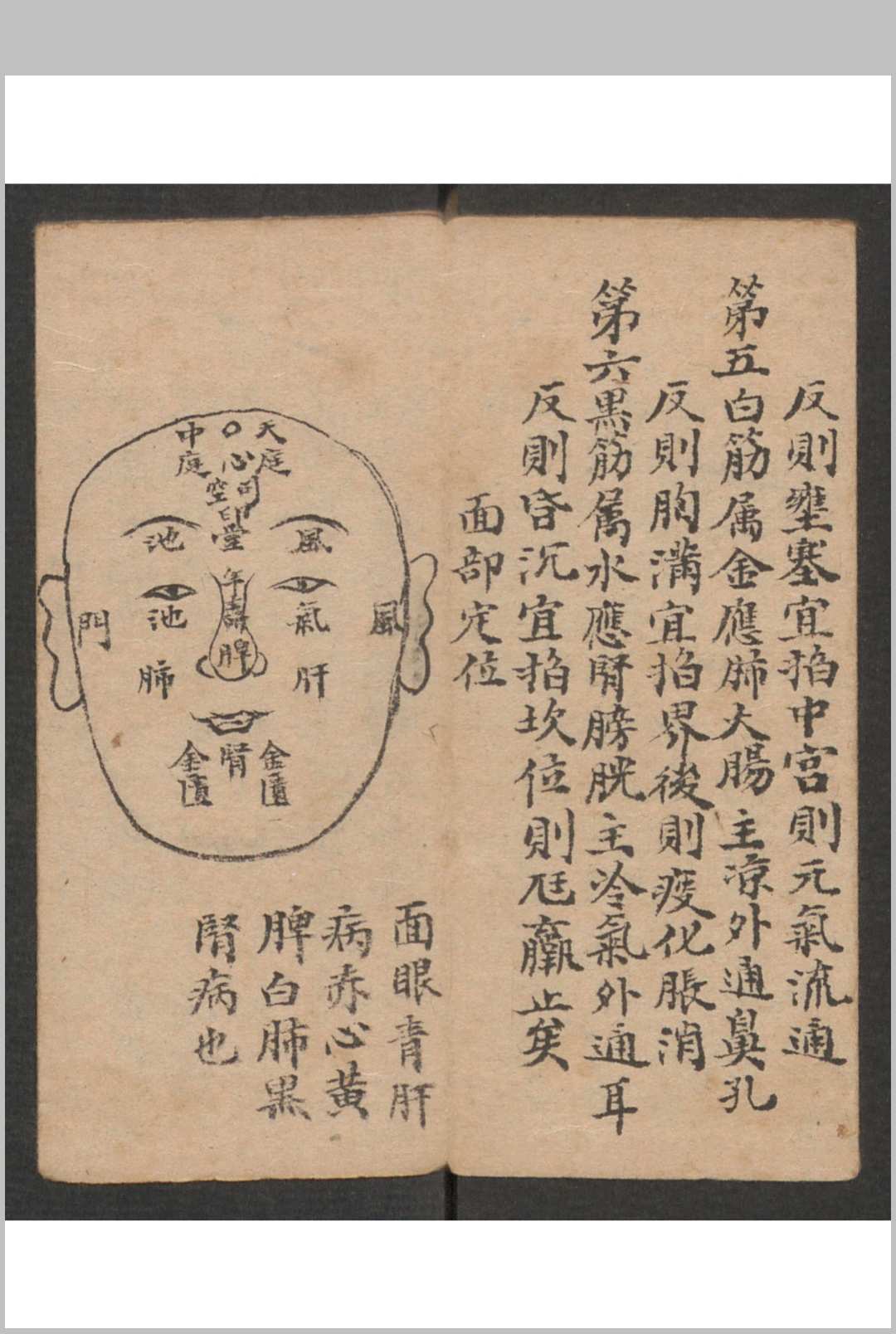 图片[19]-中华古籍网-专注古书收集小儿科 , 1895-中华古籍网-专注古书收集中华古籍网-专注古书收集