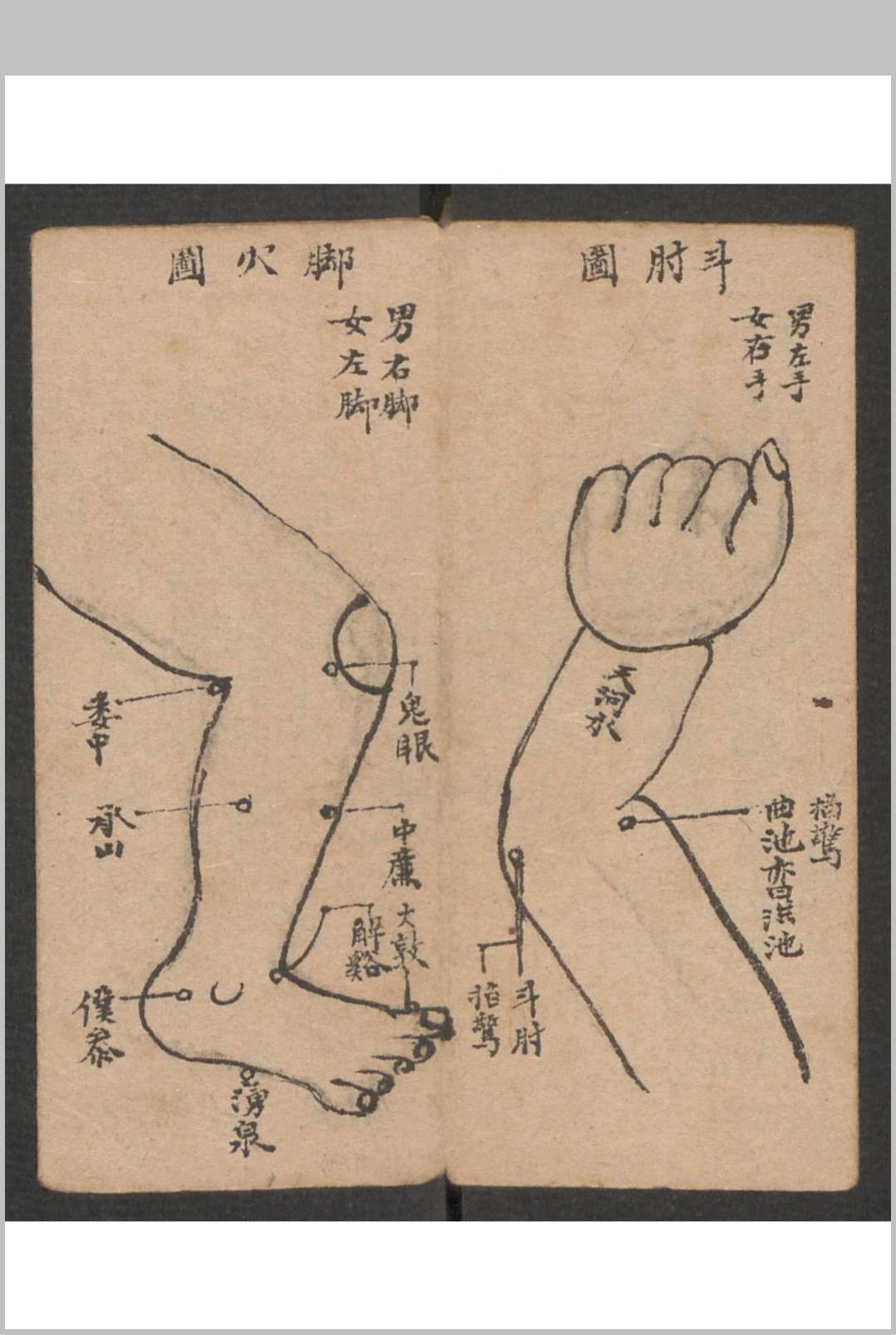 图片[20]-中华古籍网-专注古书收集小儿科 , 1895-中华古籍网-专注古书收集中华古籍网-专注古书收集