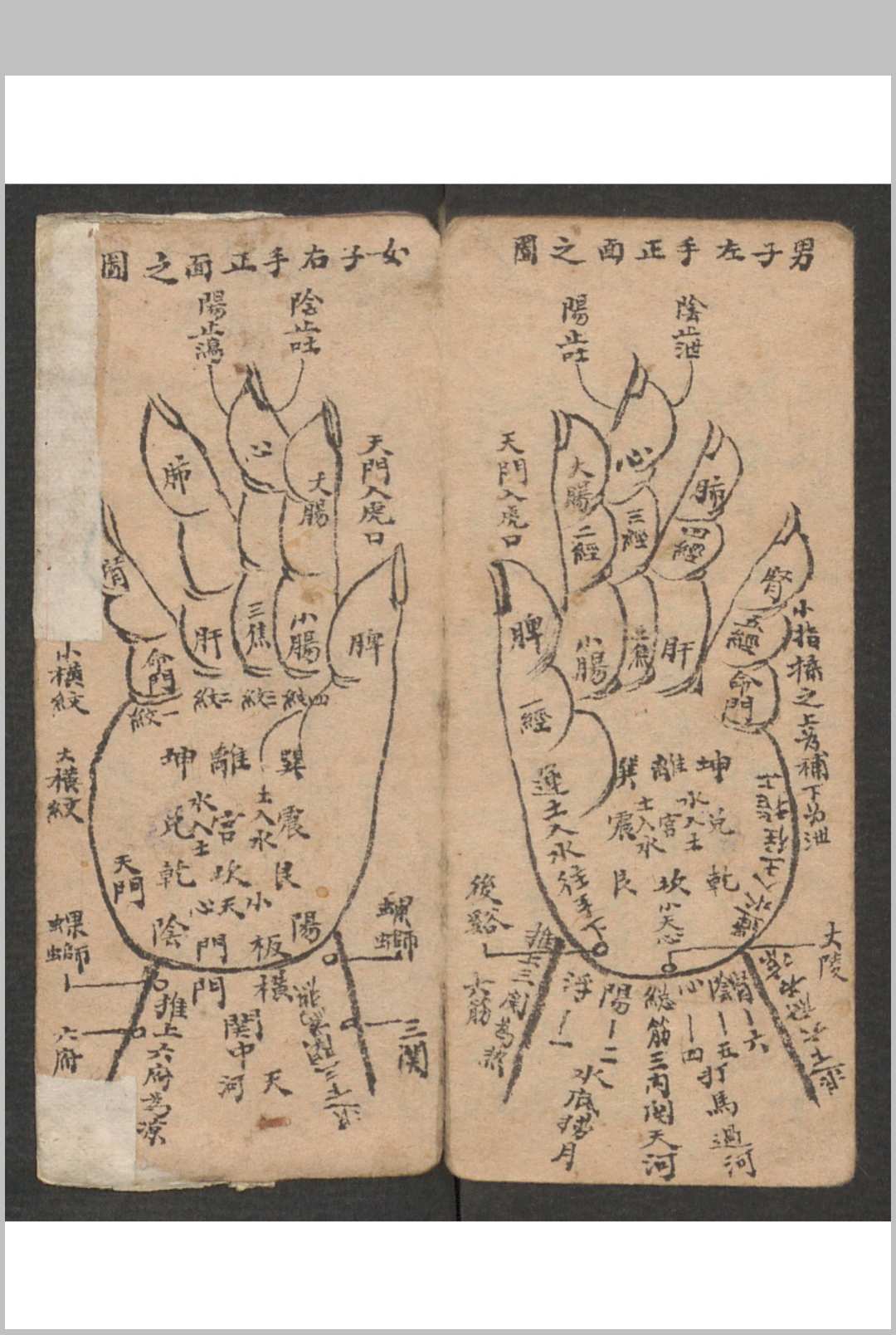 图片[21]-中华古籍网-专注古书收集小儿科 , 1895-中华古籍网-专注古书收集中华古籍网-专注古书收集