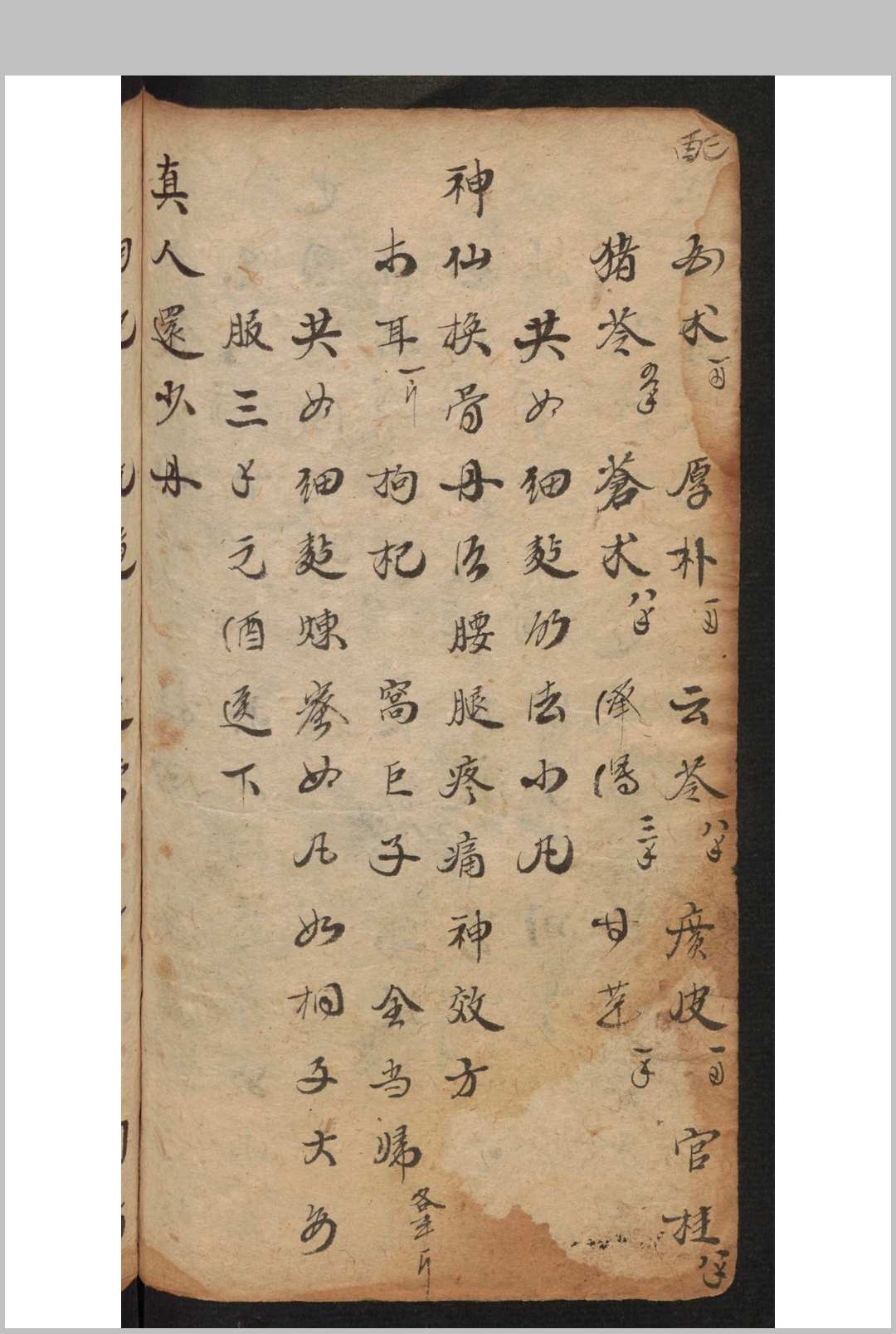 图片[5]-中华古籍网-专注古书收集[成药方抄] 8195-中华古籍网-专注古书收集中华古籍网-专注古书收集