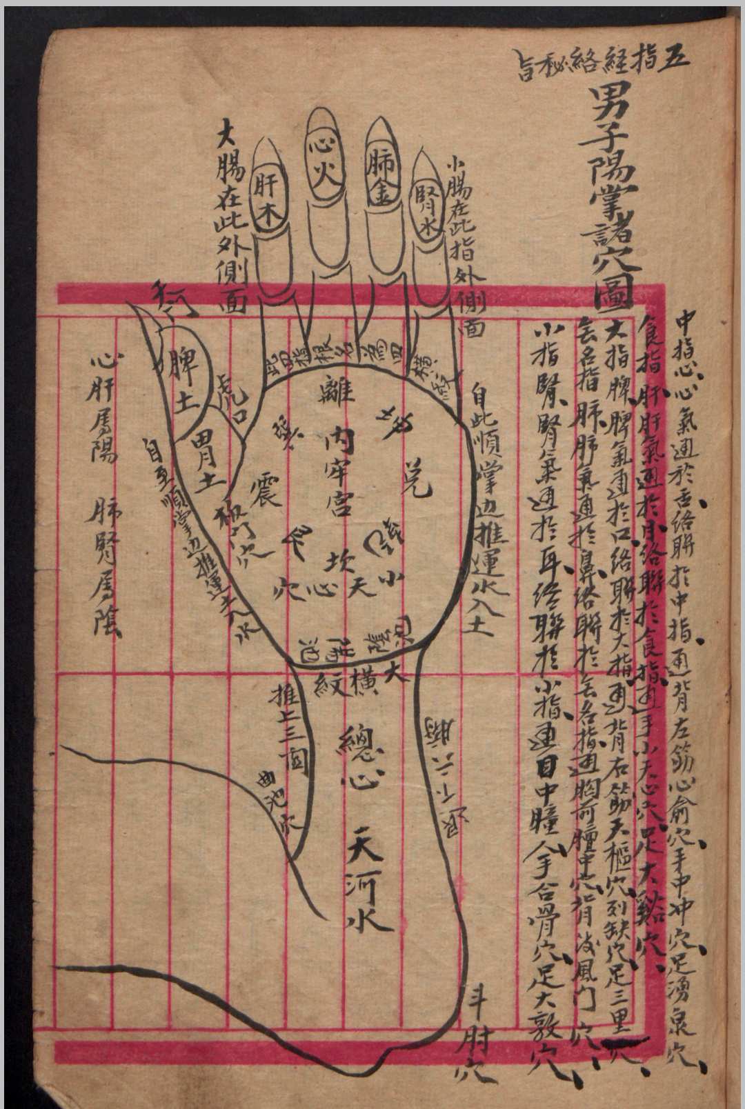 图片[2]-中华古籍网-专注古书收集幼科推拿秘书-中华古籍网-专注古书收集中华古籍网-专注古书收集