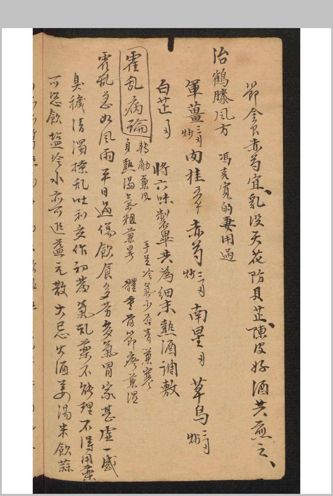 图片[6]-中华古籍网-专注古书收集积玉堂 神效药方 , 1820-中华古籍网-专注古书收集中华古籍网-专注古书收集