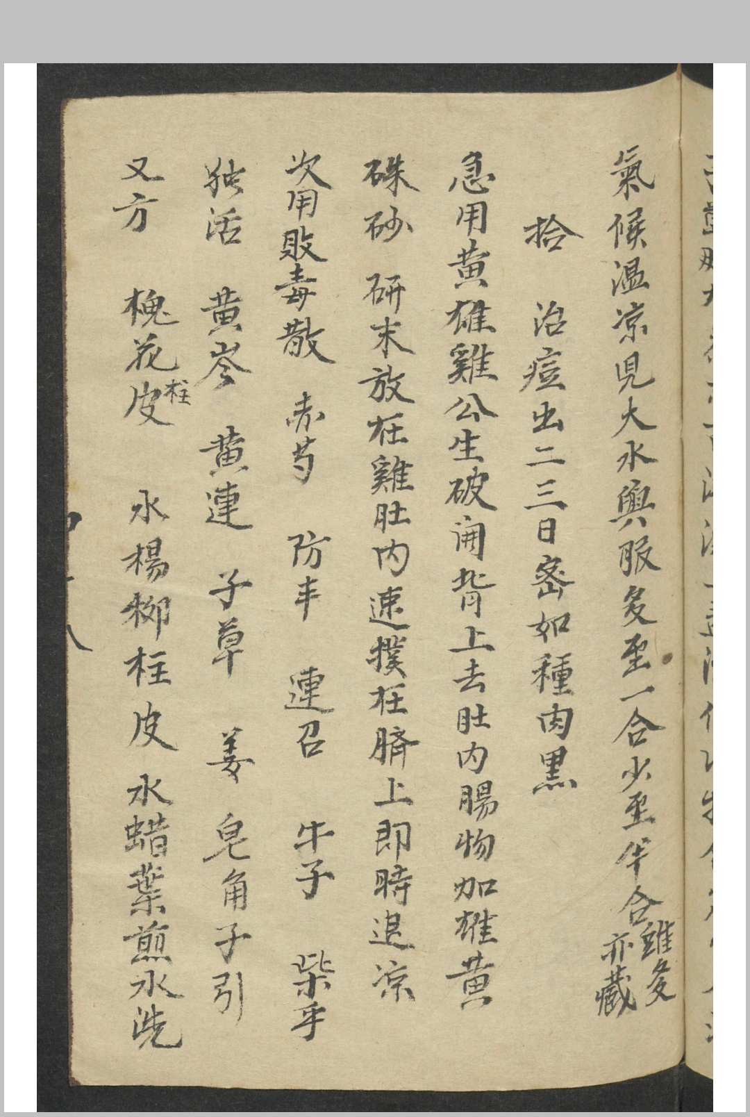 图片[2]-中华古籍网-专注古书收集痘科秘诀 , 1900-中华古籍网-专注古书收集中华古籍网-专注古书收集