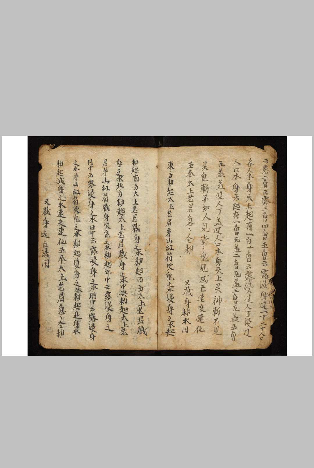 图片[12]-中华古籍网-专注古书收集藏身49-中华古籍网-专注古书收集中华古籍网-专注古书收集