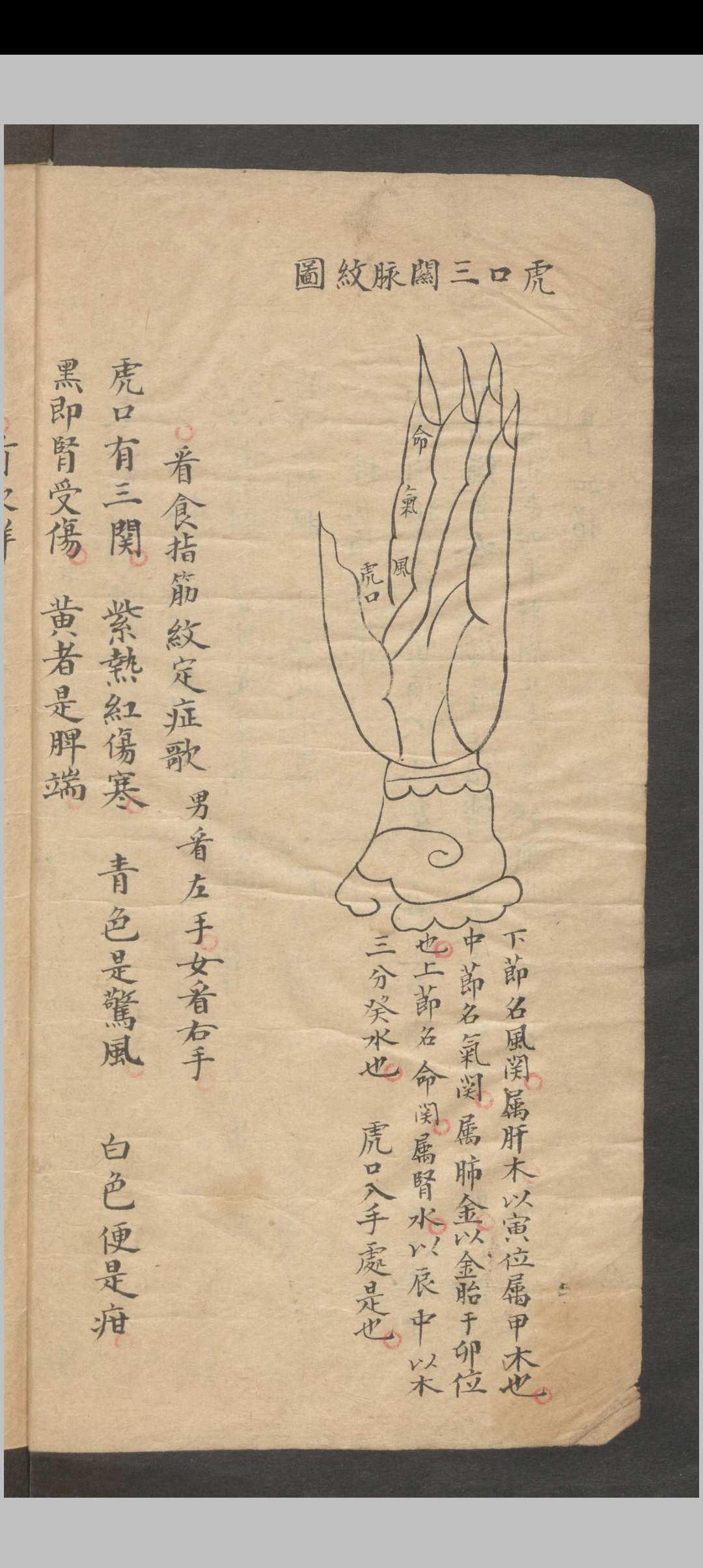 图片[11]-中华古籍网-专注古书收集推拿小儿科-中华古籍网-专注古书收集中华古籍网-专注古书收集