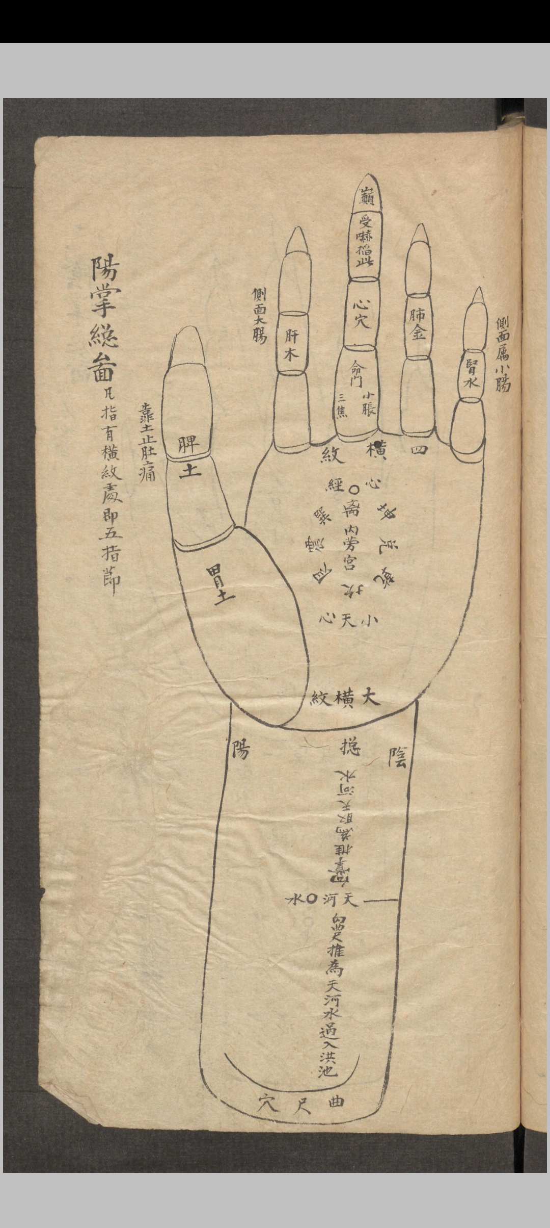 图片[6]-中华古籍网-专注古书收集推拿小儿科-中华古籍网-专注古书收集中华古籍网-专注古书收集