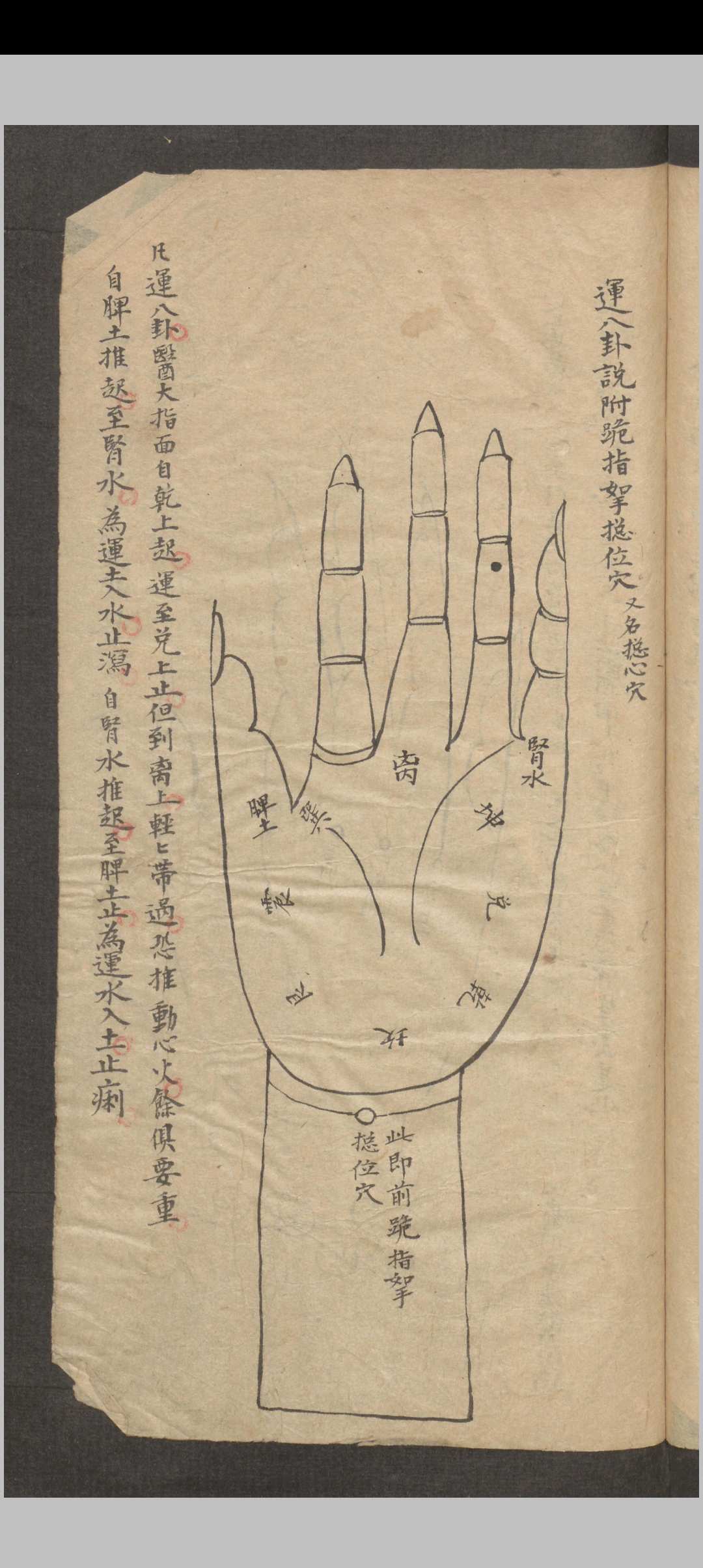 图片[18]-中华古籍网-专注古书收集推拿小儿科-中华古籍网-专注古书收集中华古籍网-专注古书收集