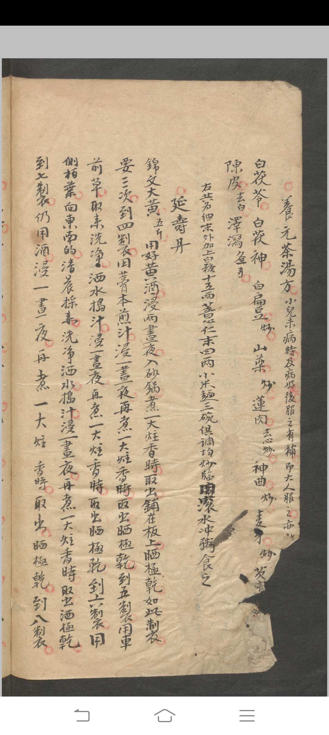 图片[14]-中华古籍网-专注古书收集推拿小儿科-中华古籍网-专注古书收集中华古籍网-专注古书收集
