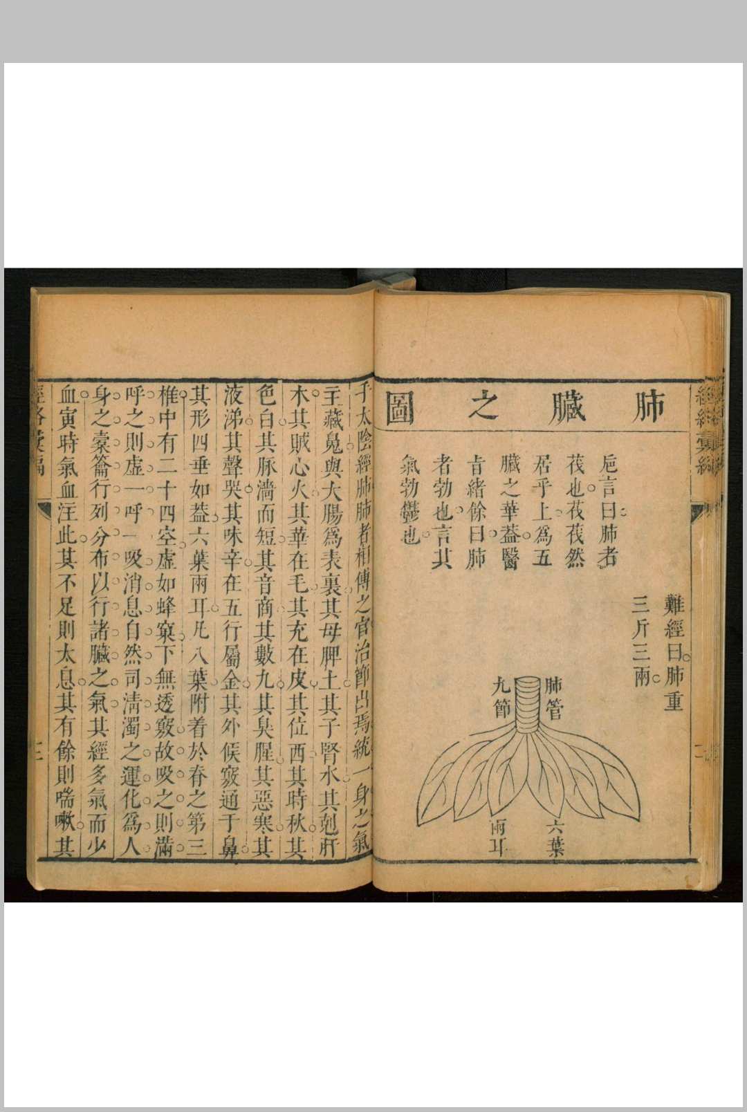 图片[2]中华古籍网-专注古书收集经络汇编中华古籍网-专注古书收集中华古籍网