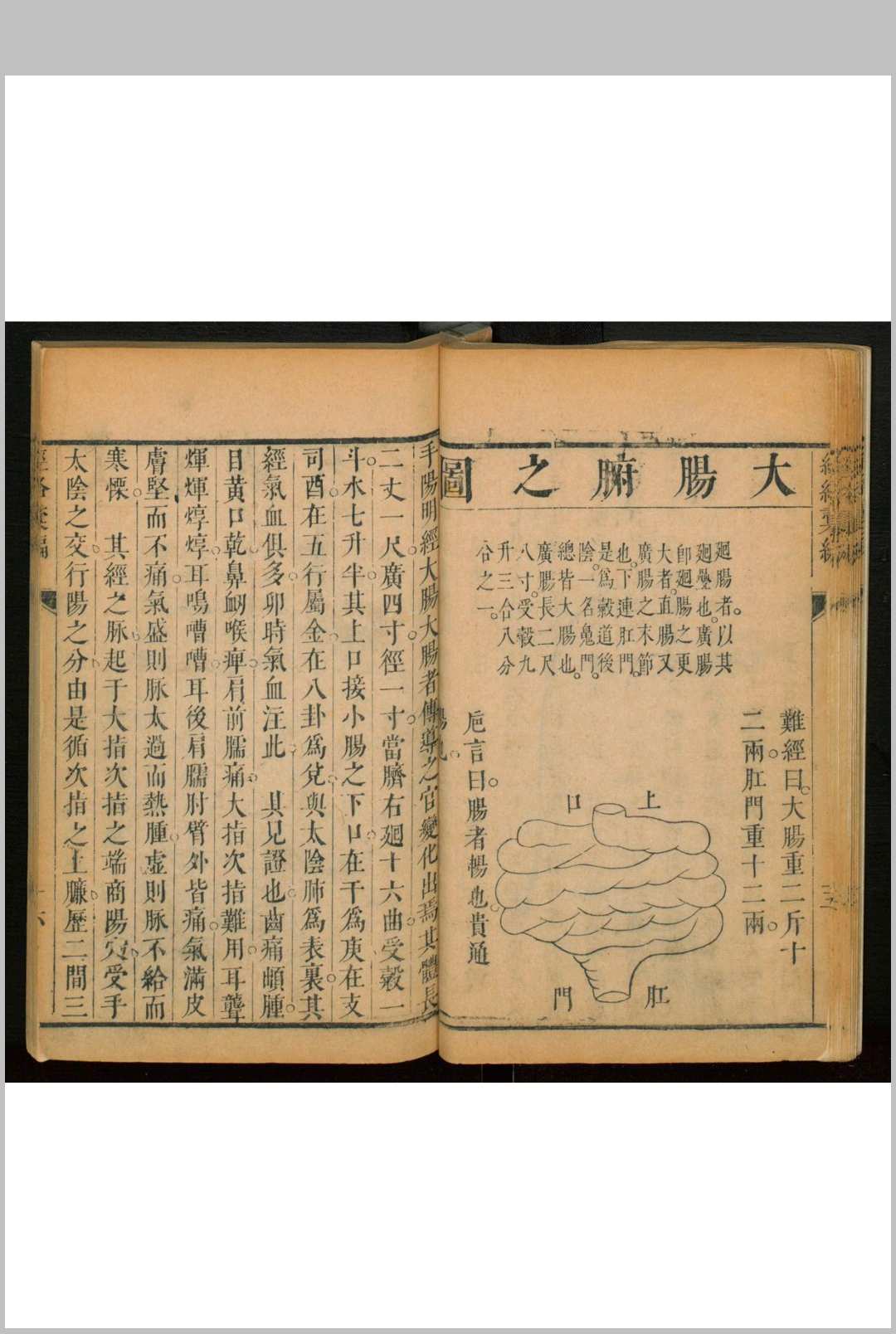 图片[3]中华古籍网-专注古书收集经络汇编中华古籍网-专注古书收集中华古籍网