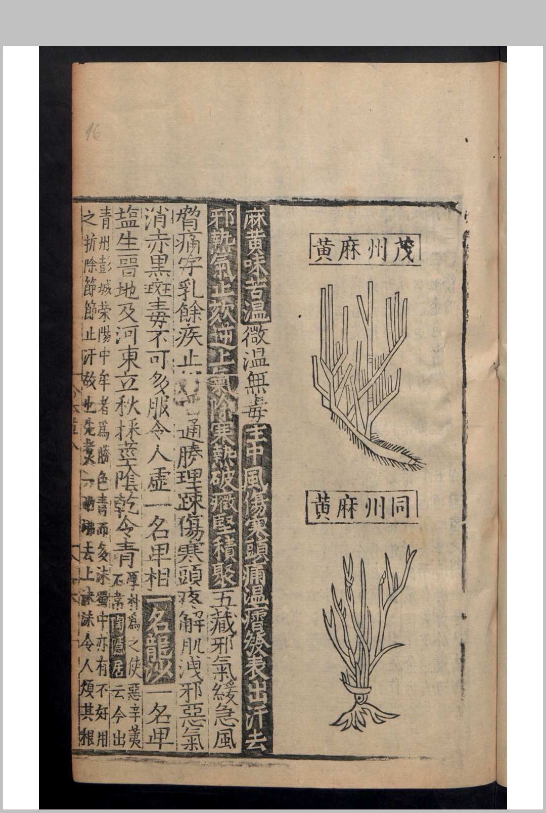 图片[12]中华古籍网-专注古书收集唐慎微 王秋 重刊经史证类大全本草 31卷 目录1卷 , 1577中华古籍网-专注古书收集中华古籍网