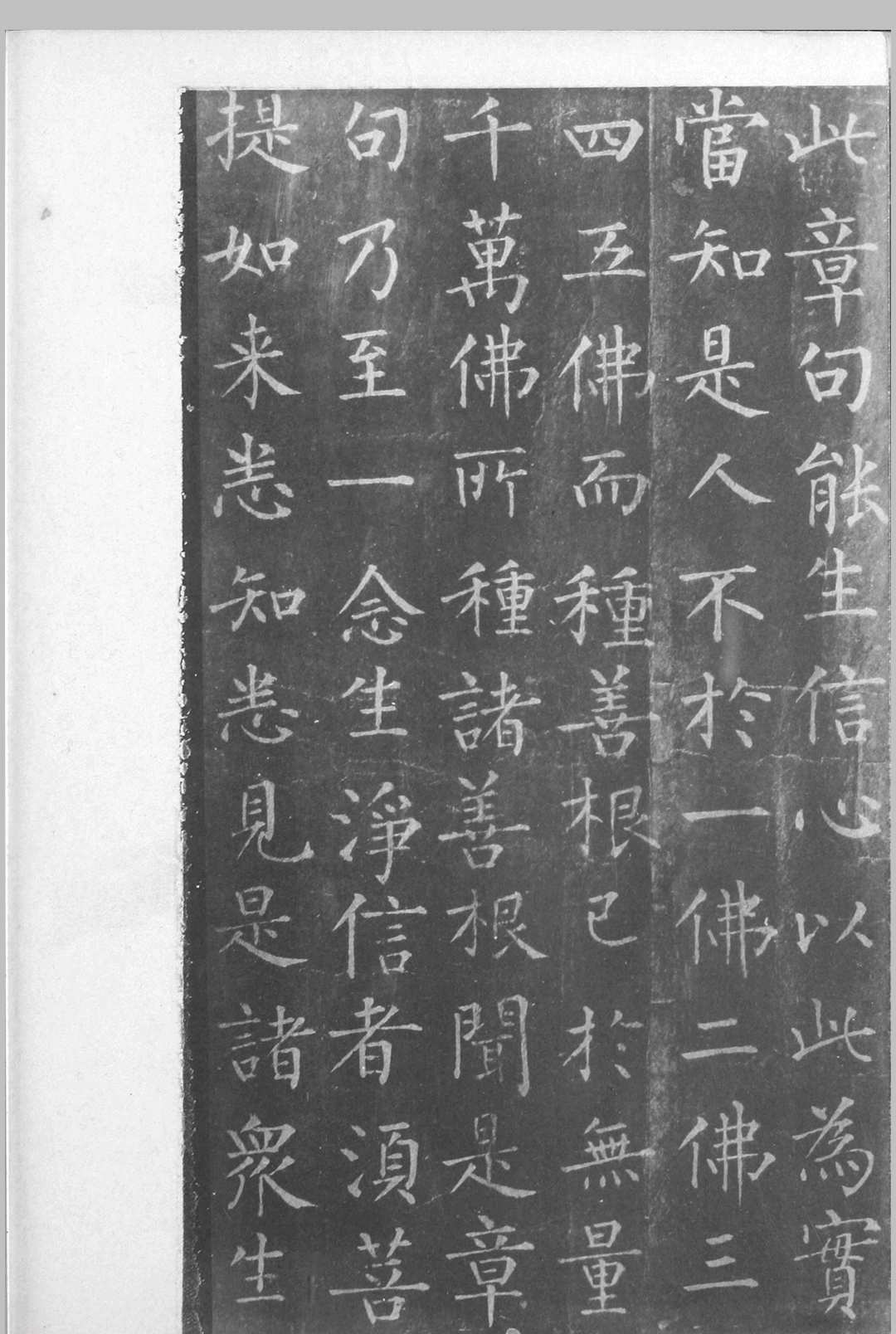 图片[6]中华古籍网-专注古书收集石室秘宝  [甲、乙集]中华古籍网-专注古书收集中华古籍网
