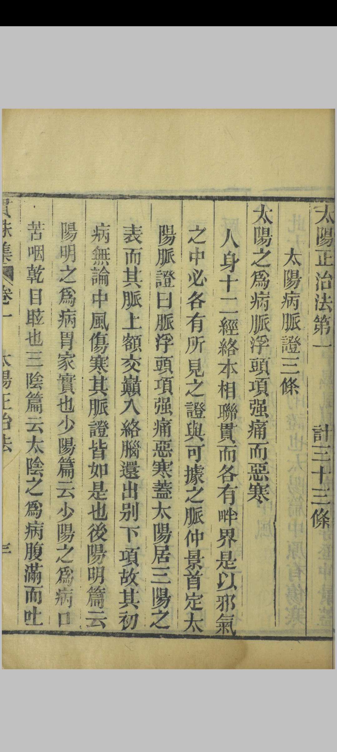 图片[6]中华古籍网-专注古书收集张仲景伤寒论贯珠集  绿荫堂, 清嘉庆15年中华古籍网-专注古书收集中华古籍网