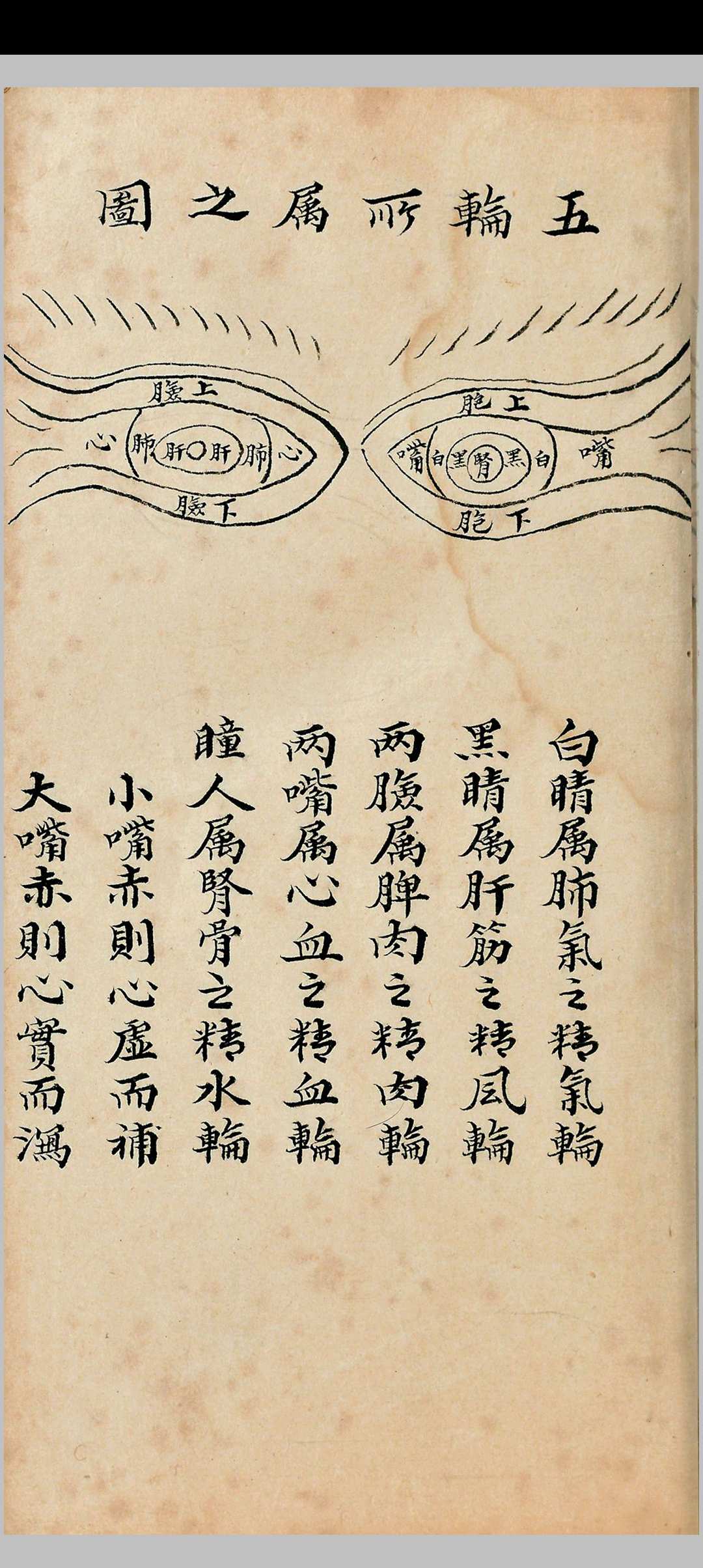 图片[9]-中华古籍网-专注古书收集龙宫真秘眼科-中华古籍网-专注古书收集中华古籍网-专注古书收集
