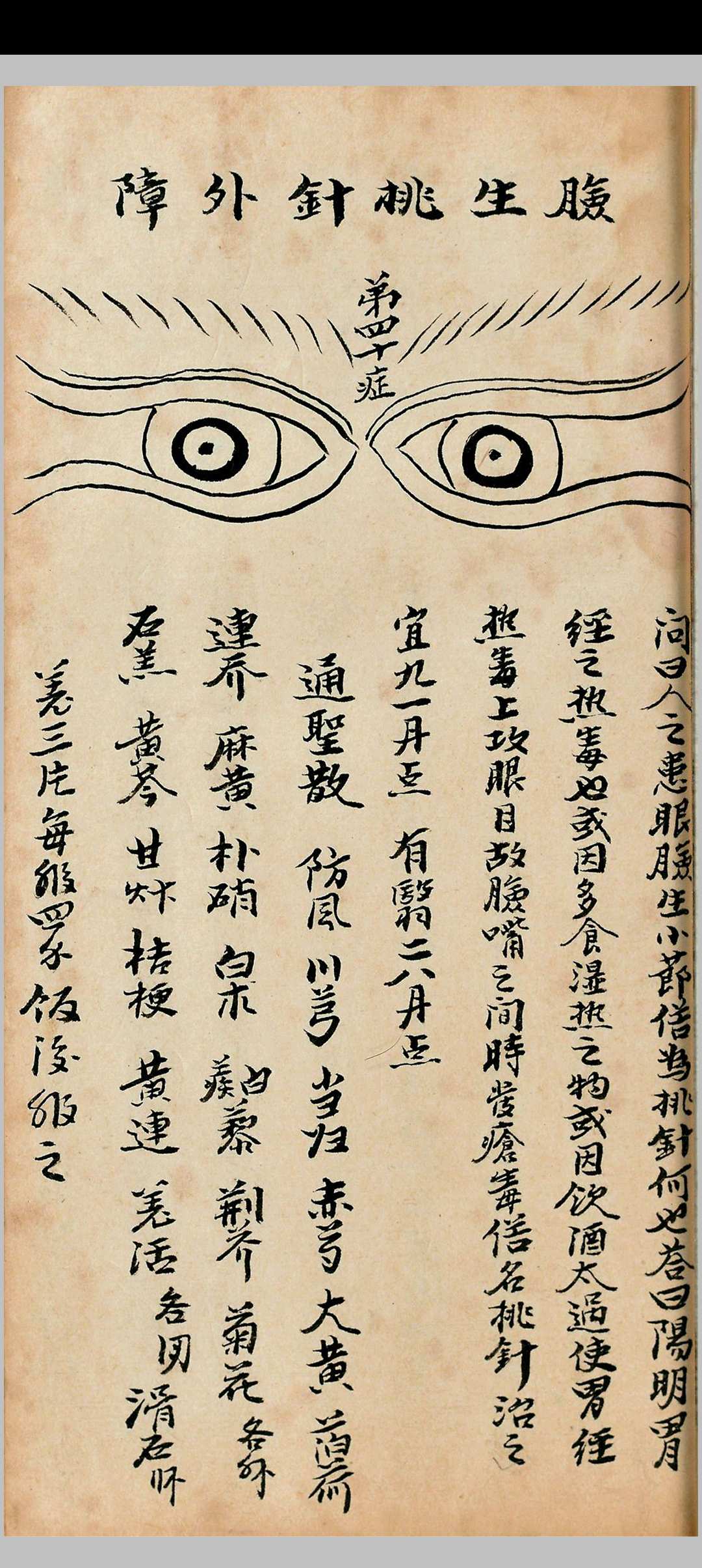 图片[10]-中华古籍网-专注古书收集龙宫真秘眼科-中华古籍网-专注古书收集中华古籍网-专注古书收集