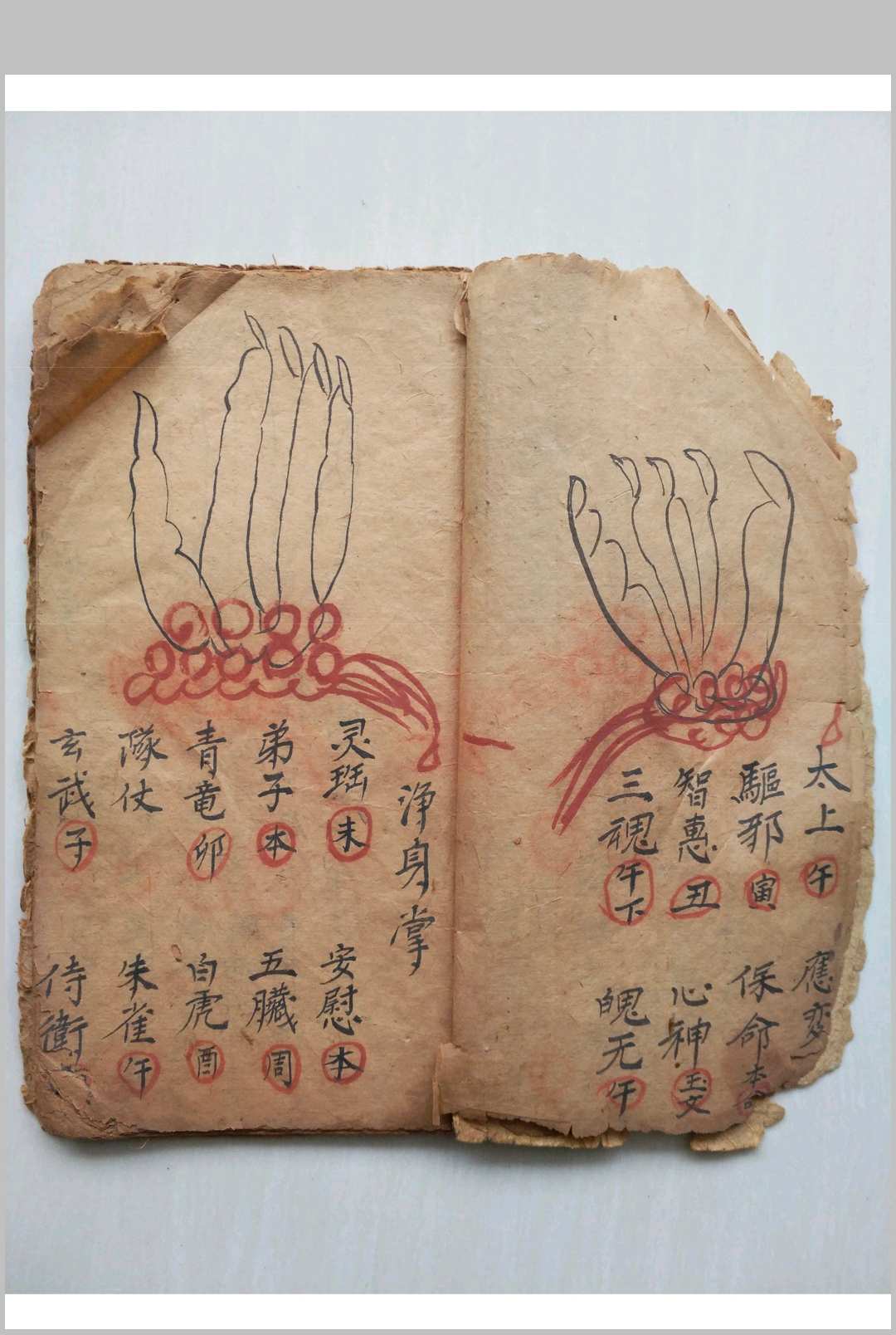 图片[3]-中华古籍网-专注古书收集掌诀秘图-中华古籍网-专注古书收集中华古籍网-专注古书收集