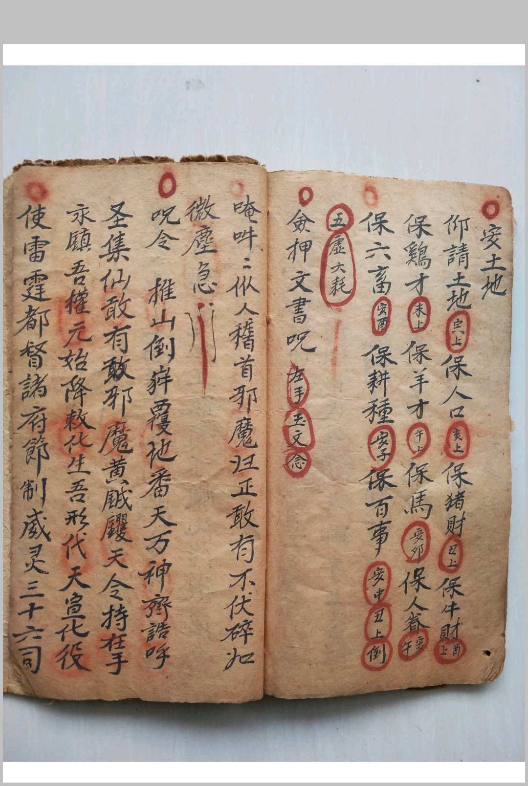 图片[7]-中华古籍网-专注古书收集掌诀秘图-中华古籍网-专注古书收集中华古籍网-专注古书收集