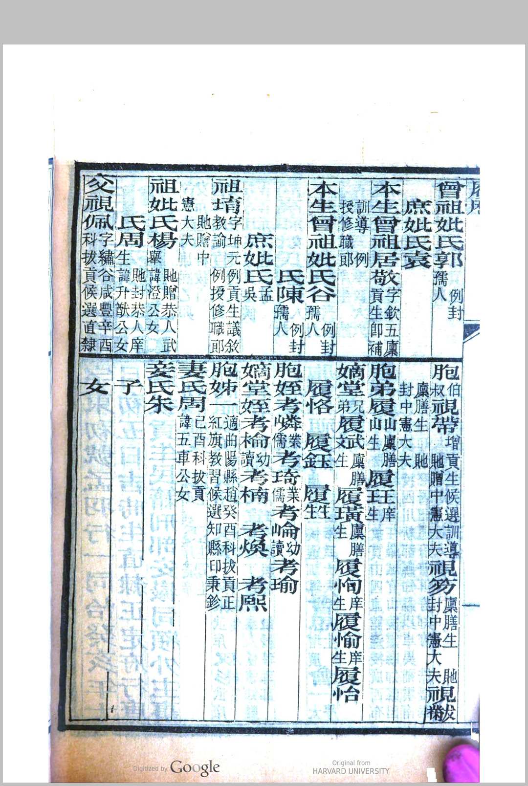图片[6]中华古籍网-专注古书收集顺天乡试同年齿录 (光绪20年甲午科)中华古籍网-专注古书收集中华古籍网