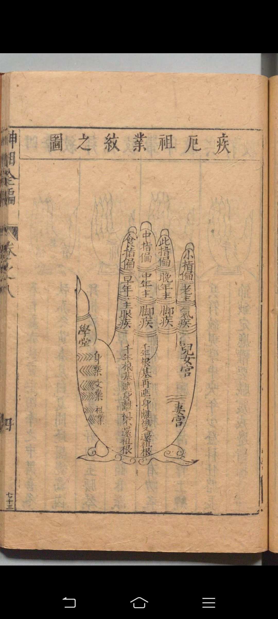 图片[13]-中华古籍网-专注古书收集神相全编 陈搏（宋）校订 袁忠彻 明-中华古籍网-专注古书收集中华古籍网-专注古书收集