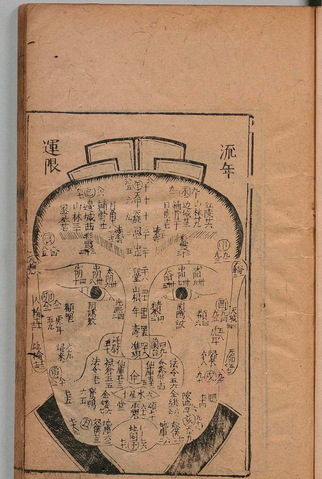 图片[4]-中华古籍网-专注古书收集新刻袁柳庄先生秘传相法 袁忠彻 云林子-中华古籍网-专注古书收集中华古籍网-专注古书收集