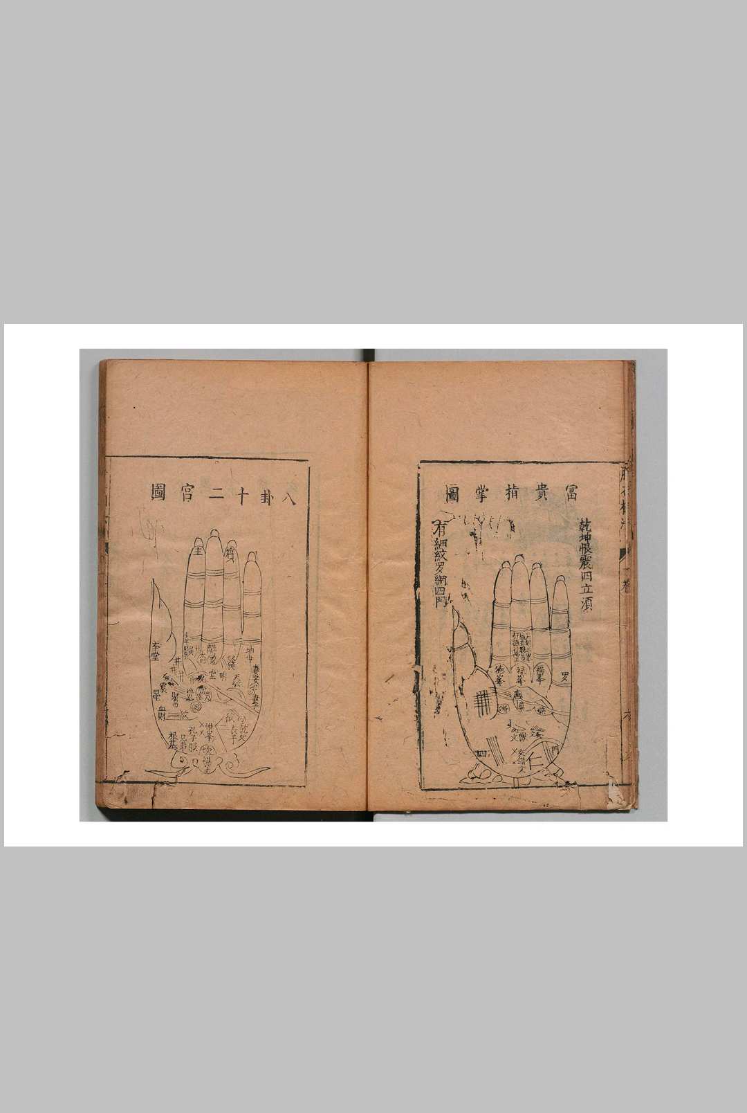 图片[10]-中华古籍网-专注古书收集新刻袁柳庄先生秘传相法 袁忠彻 云林子-中华古籍网-专注古书收集中华古籍网-专注古书收集