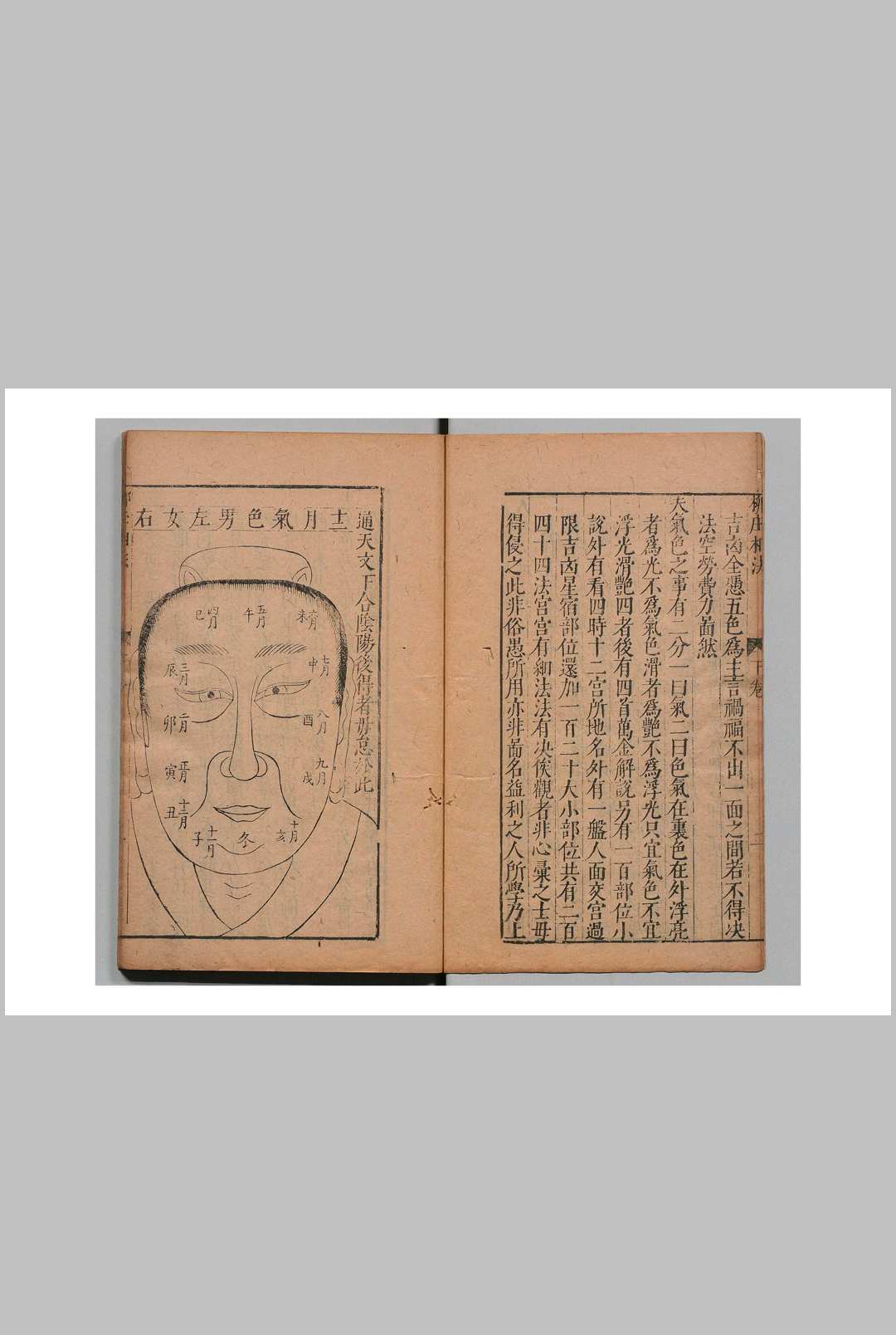 图片[7]-中华古籍网-专注古书收集新刻袁柳庄先生秘传相法 袁忠彻 云林子-中华古籍网-专注古书收集中华古籍网-专注古书收集