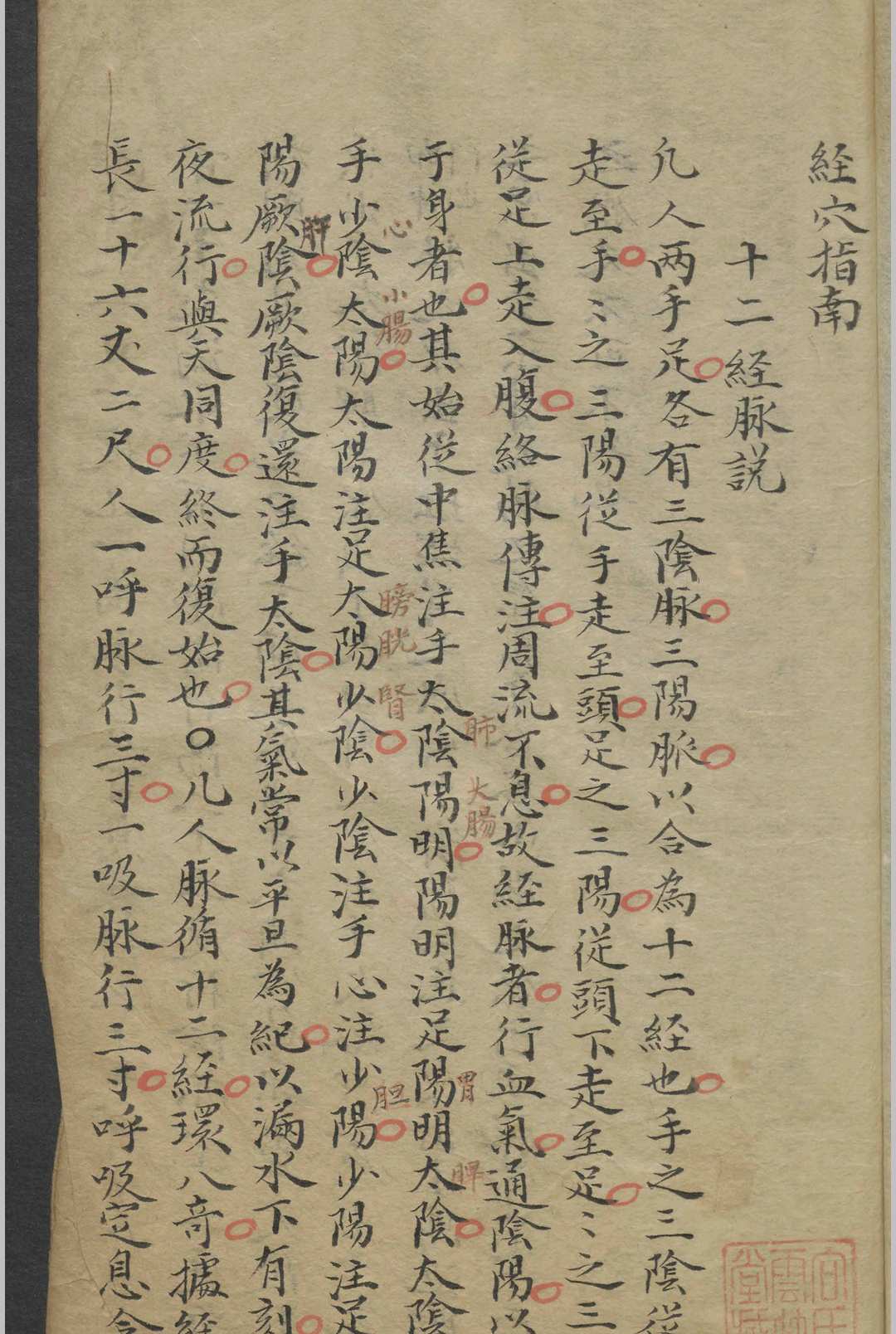 郭佩兰 经穴指南   1800-中华古籍网-专注古书收集中华古籍网-专注古书收集