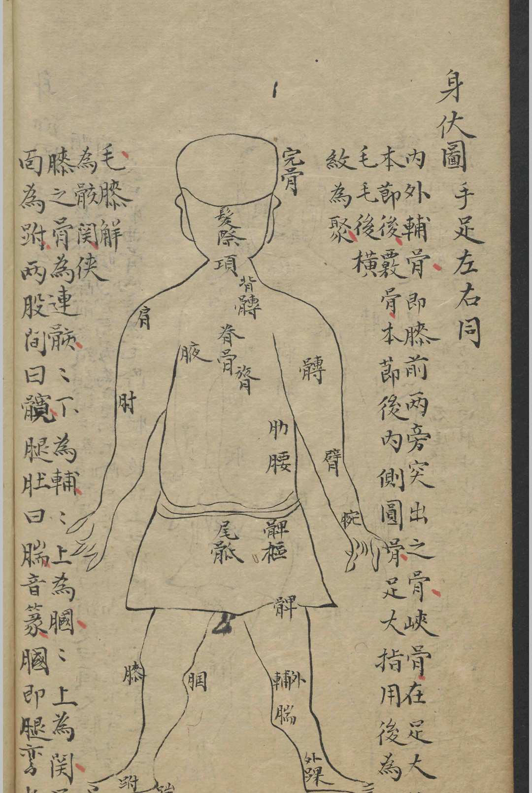 图片[11]-中华古籍网-专注古书收集郭佩兰 经穴指南   1800-中华古籍网-专注古书收集中华古籍网-专注古书收集