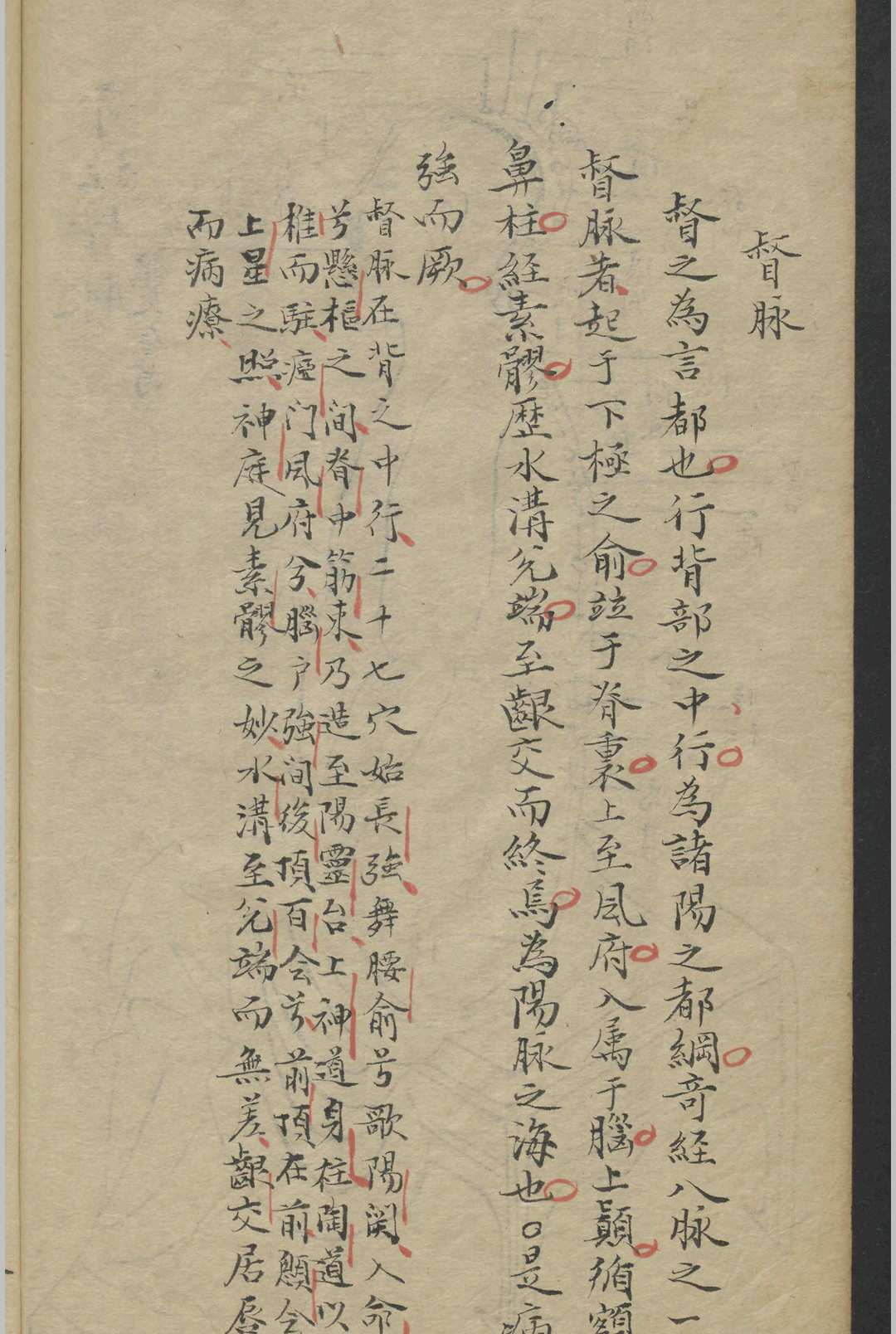 图片[8]-中华古籍网-专注古书收集郭佩兰 经穴指南   1800-中华古籍网-专注古书收集中华古籍网-专注古书收集