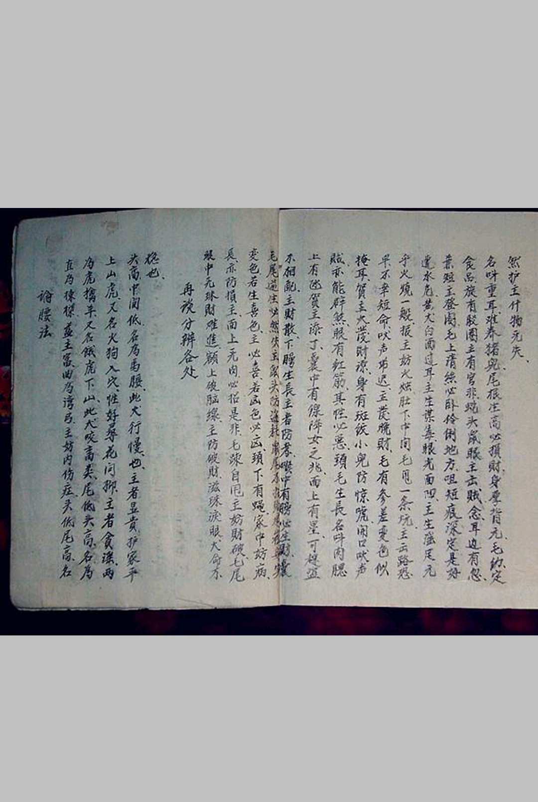 图片[3]-中华古籍网-专注古书收集犬相大全-中华古籍网-专注古书收集中华古籍网-专注古书收集