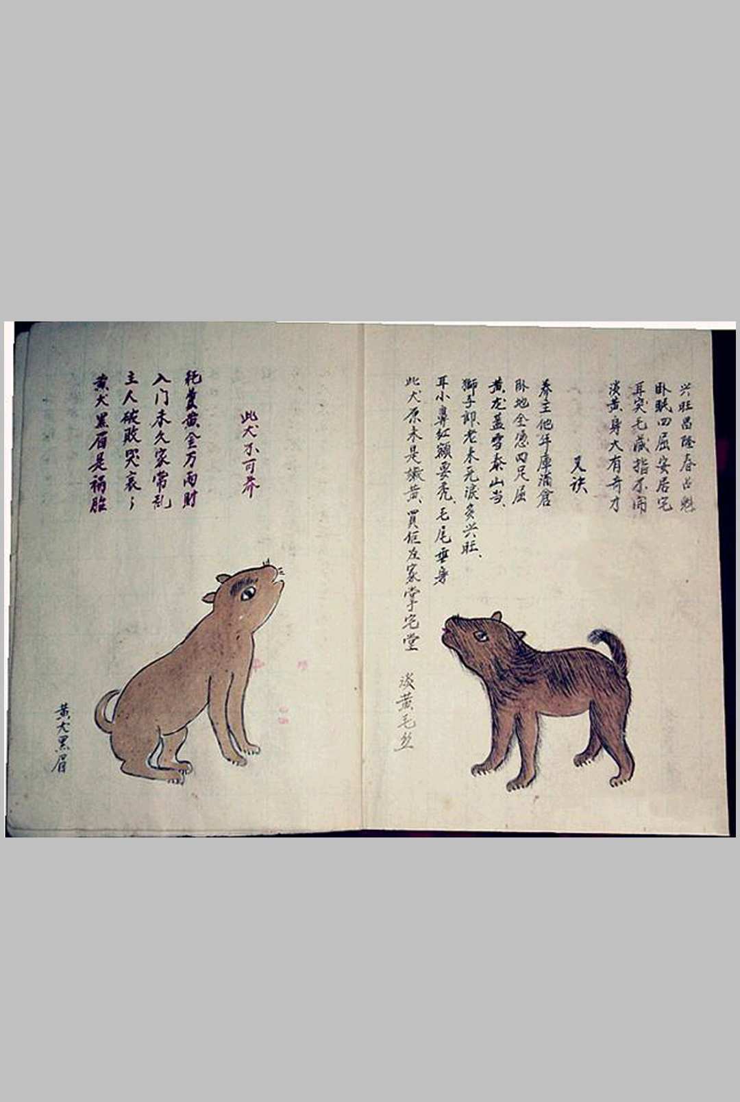 图片[4]-中华古籍网-专注古书收集犬相大全-中华古籍网-专注古书收集中华古籍网-专注古书收集