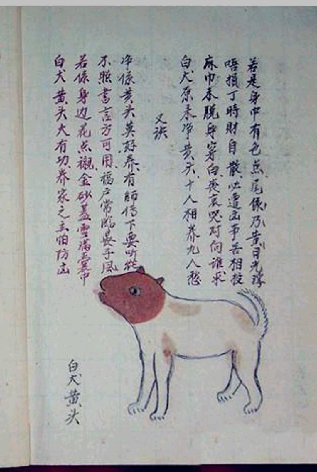 图片[5]-中华古籍网-专注古书收集犬相大全-中华古籍网-专注古书收集中华古籍网-专注古书收集